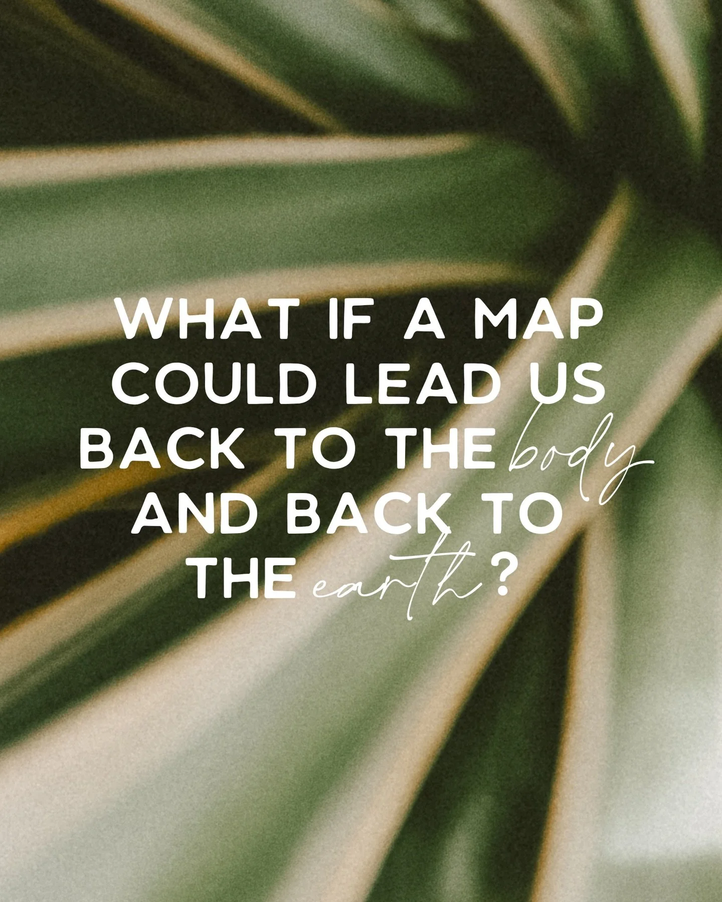 A musing on systems of self-understanding and how they can serve as a map from the mind &rarr; to the body &rarr; to the Earth by helping us remember who we are. 🪞🍃

As someone in the midst of rediscovering what my role in the web of life looks lik