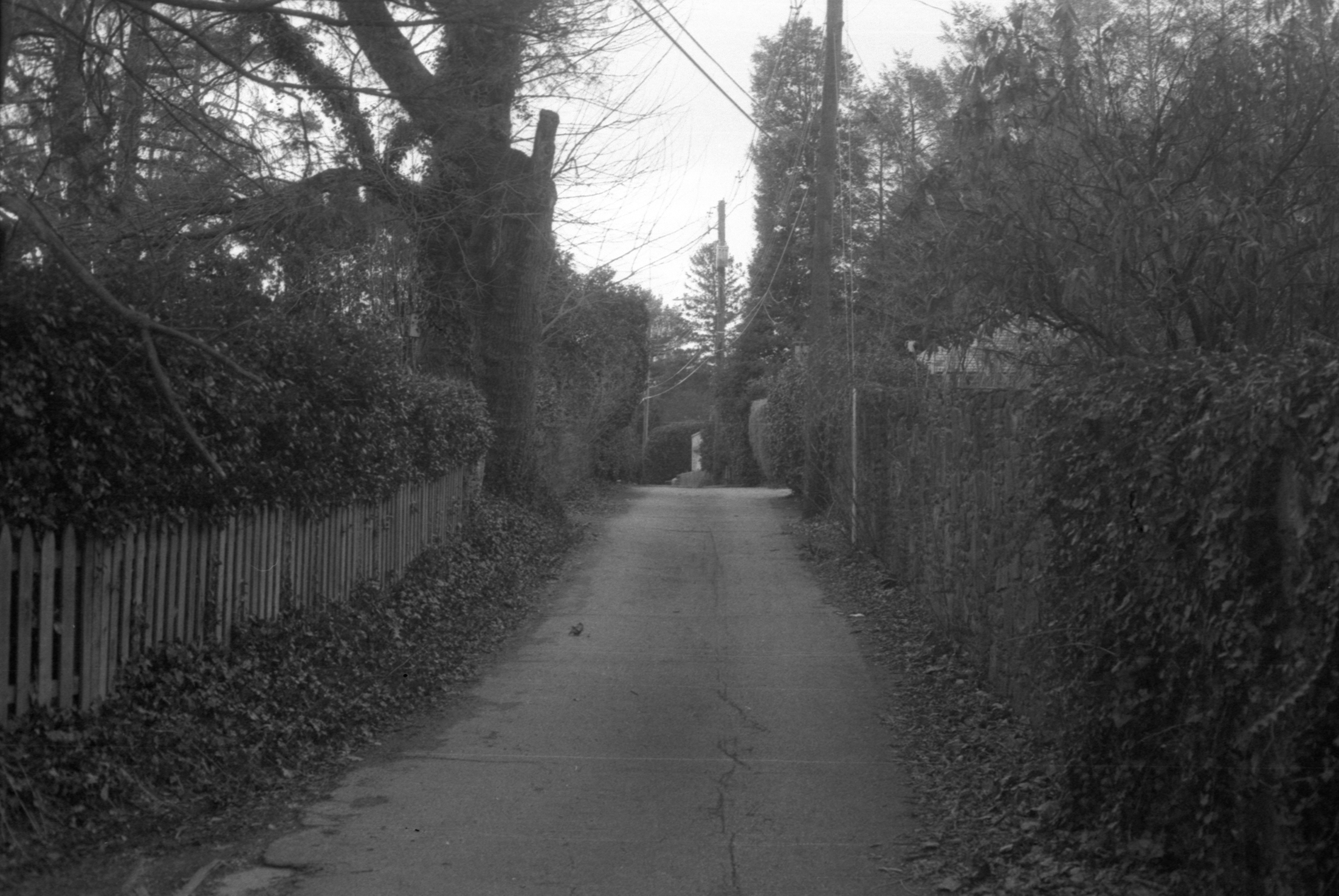 Homeland on film 1.png