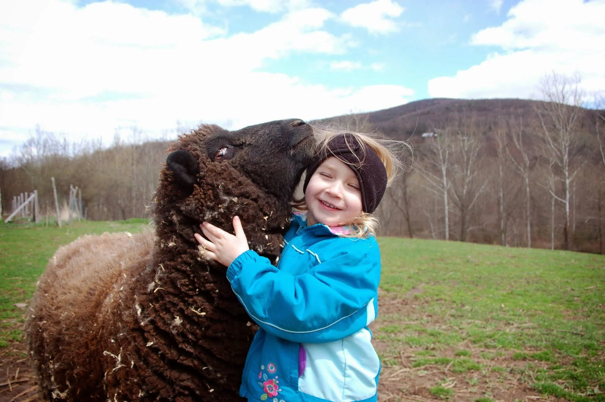 A young girl happily hugging a black sheep outdoors on a grassy field with trees and hills in the background.