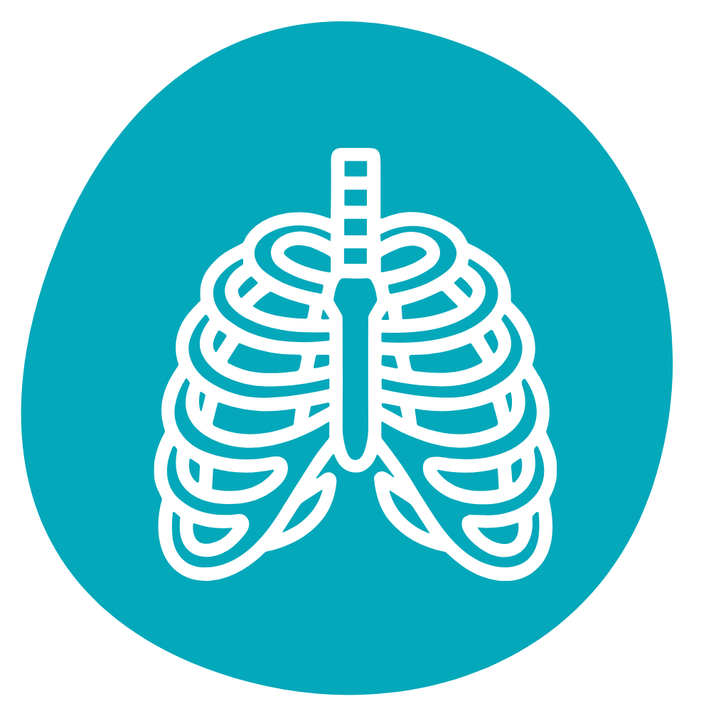 Anatomy in Three Dimensions (AI3D) course icon
