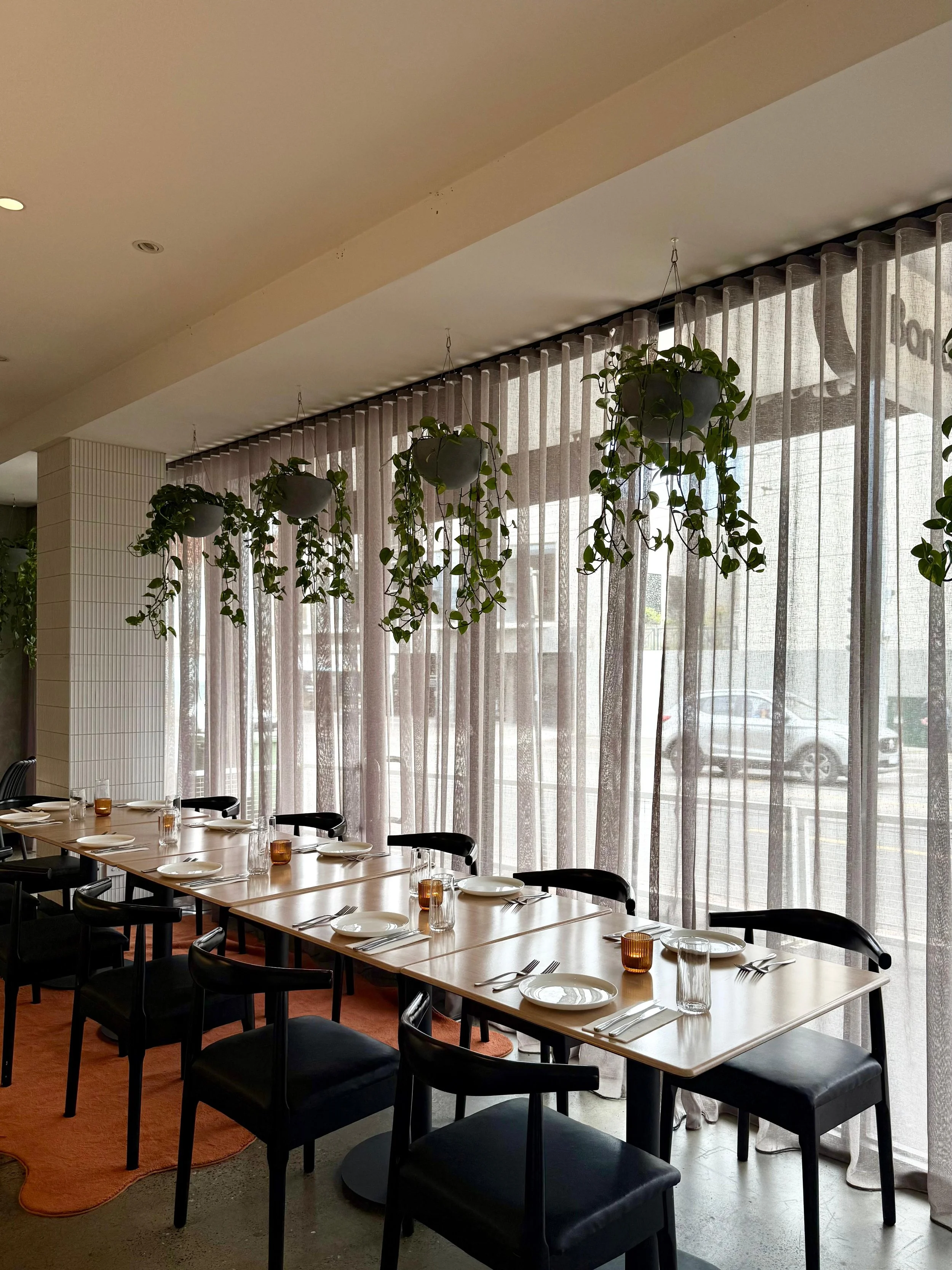Empty restaurant dining table set with white plates, silverware, glasses, and brown candle holders, near large windows with sheer curtains and hanging potted green plants.