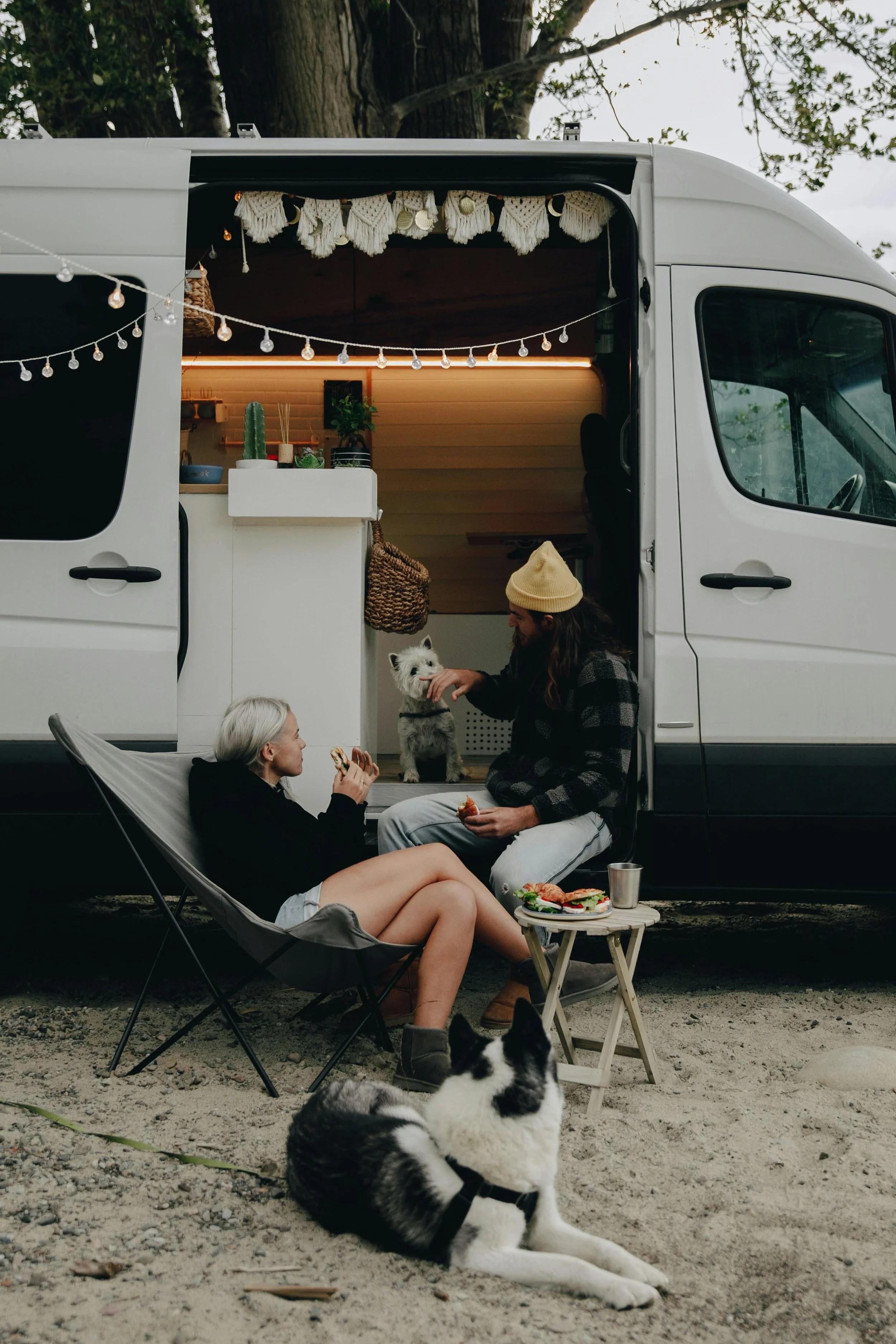 Young woman and man relaxing outside a camper van, with two dogs, one on the ground and one inside the van, sharing a meal and drinks, under string lights and trees.