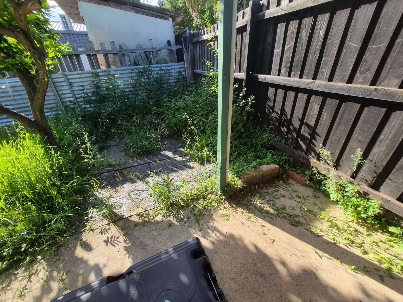 Weeding & Fertilising