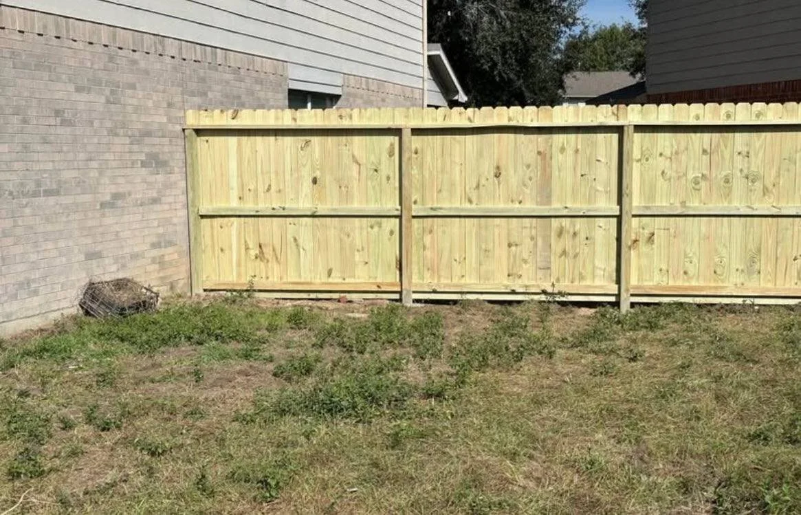 photo_4902252414866492429_y (1).jpg