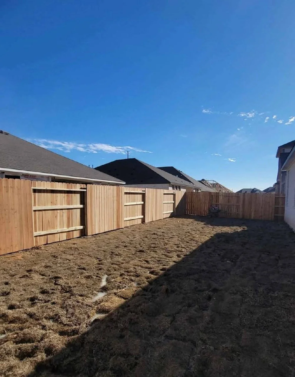 photo_4902252414866492426_y (1).jpg