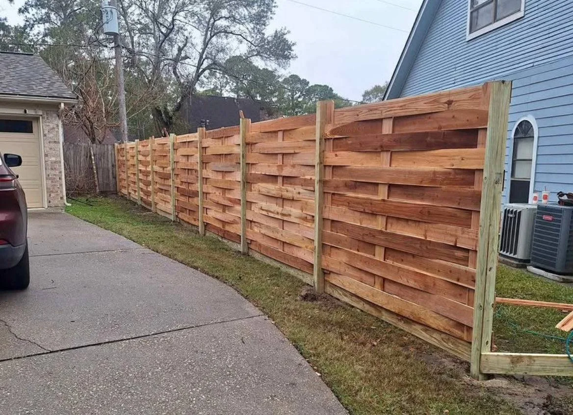 photo_4902252414866492430_y (1).jpg