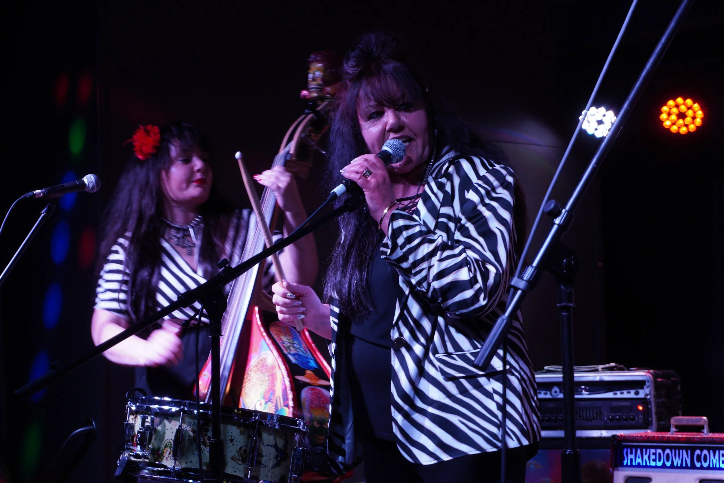 The shakedown combo rockabilly psychobilly music live at red hot and blue rockabilly weekend in dowtown at Arts Hub Brockville Ontario 2024 