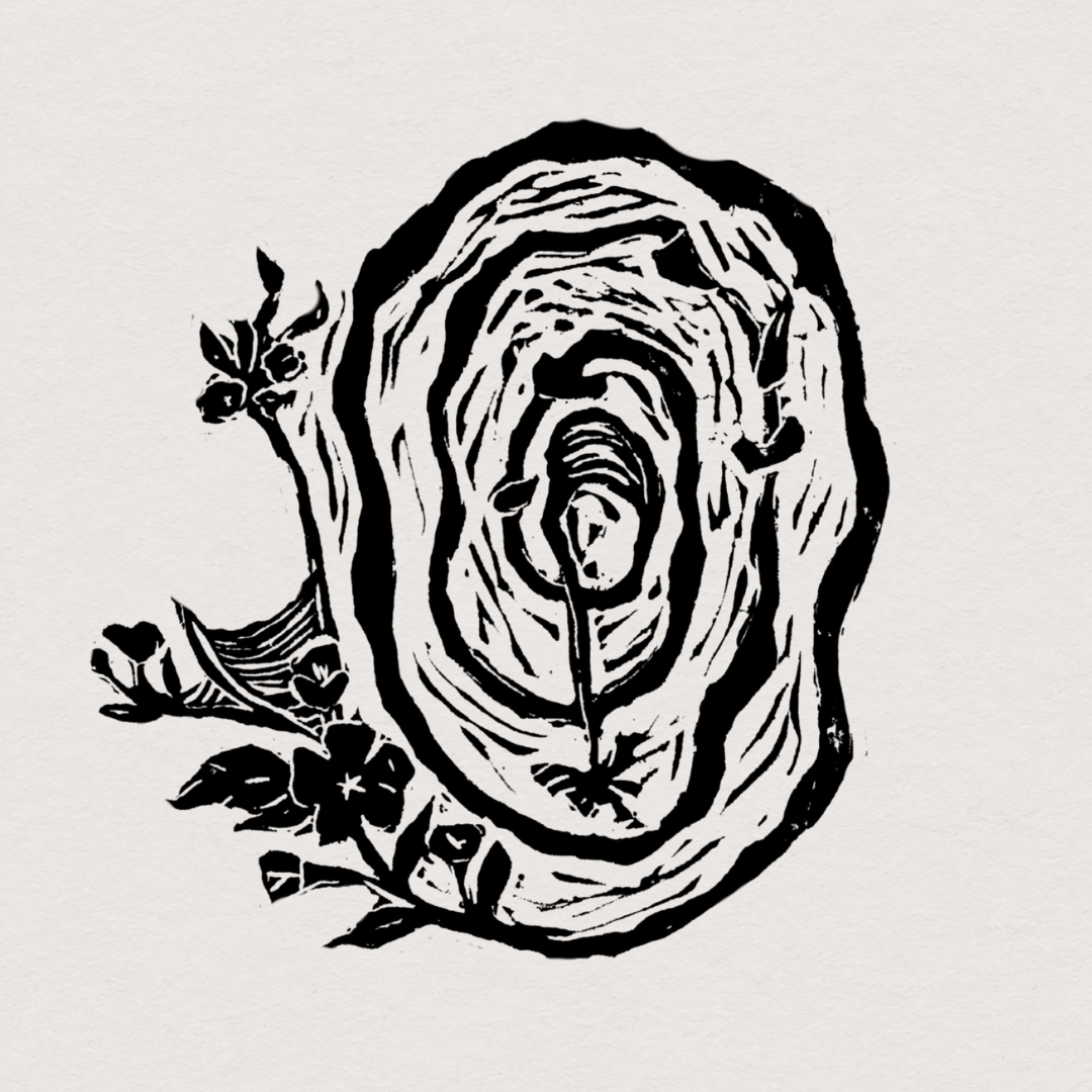 The Ephemeral Gallery Showcase 