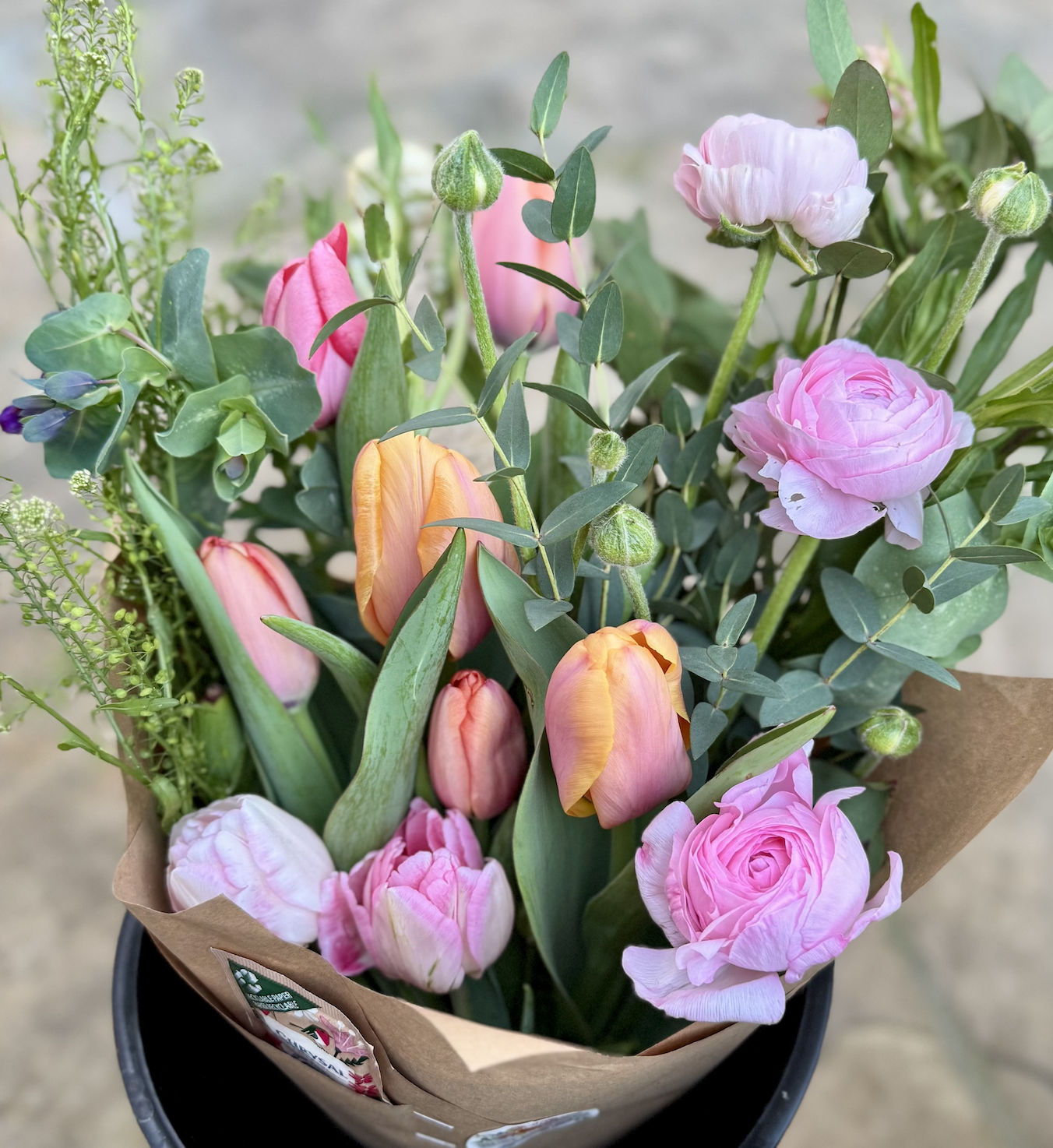 Screenshot 2026-03-06 at 10.42.18 AM.png