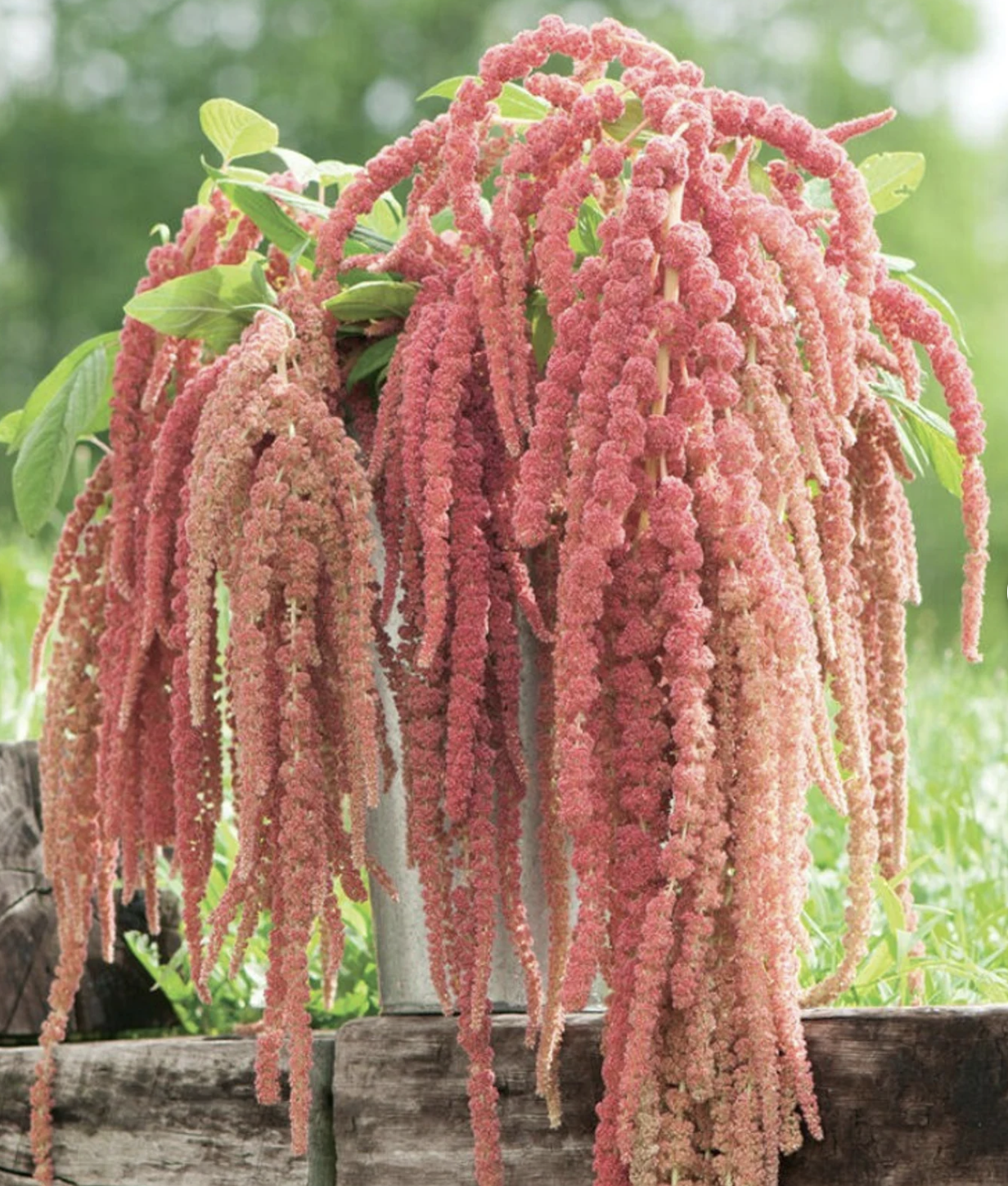 Screenshot 2026-03-23 at 9.20.27 PM.png