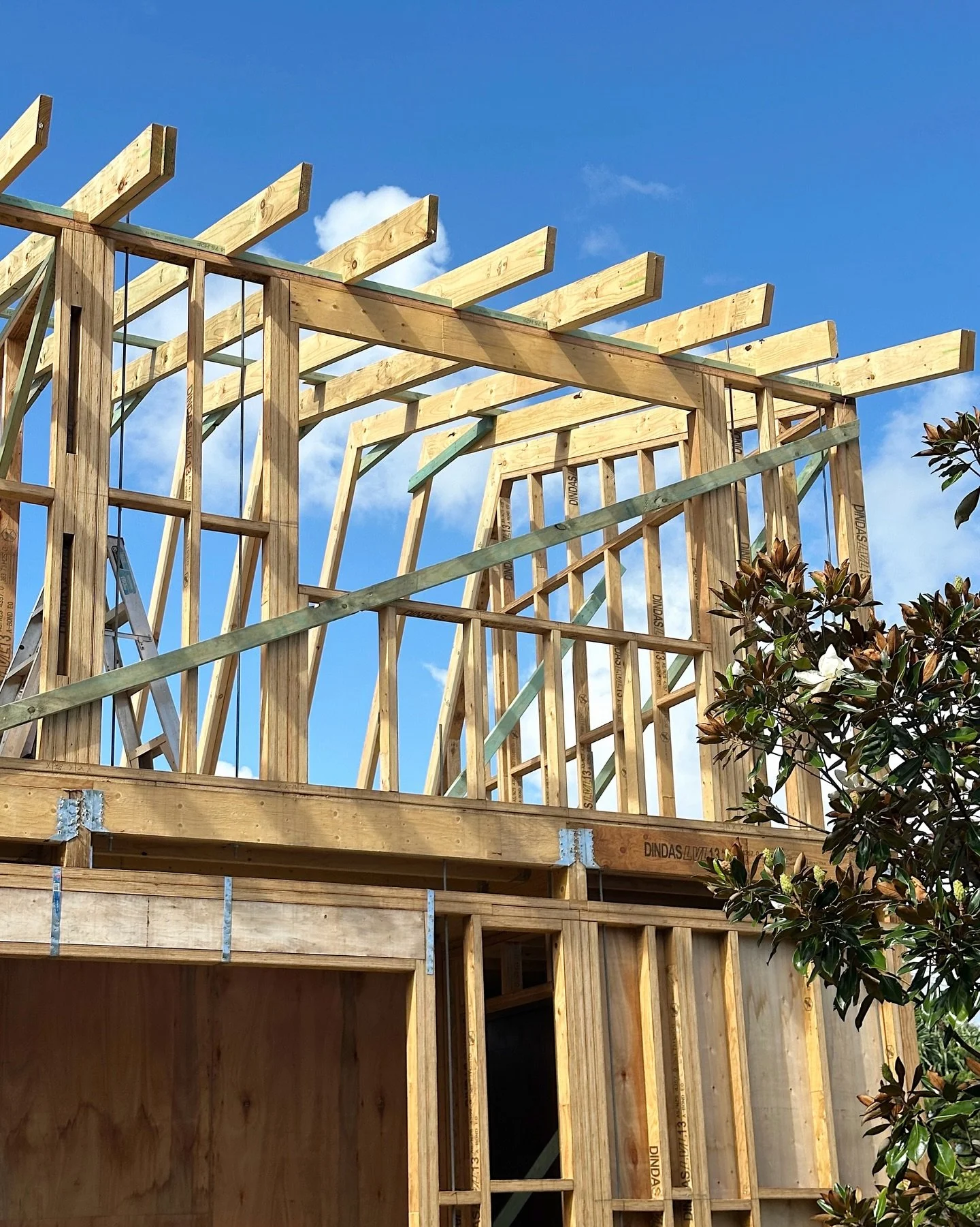 Strong progress in the framing phase at our South Golden project. The vision is taking shape, and we&rsquo;re excited to see the details carry through to the final home.