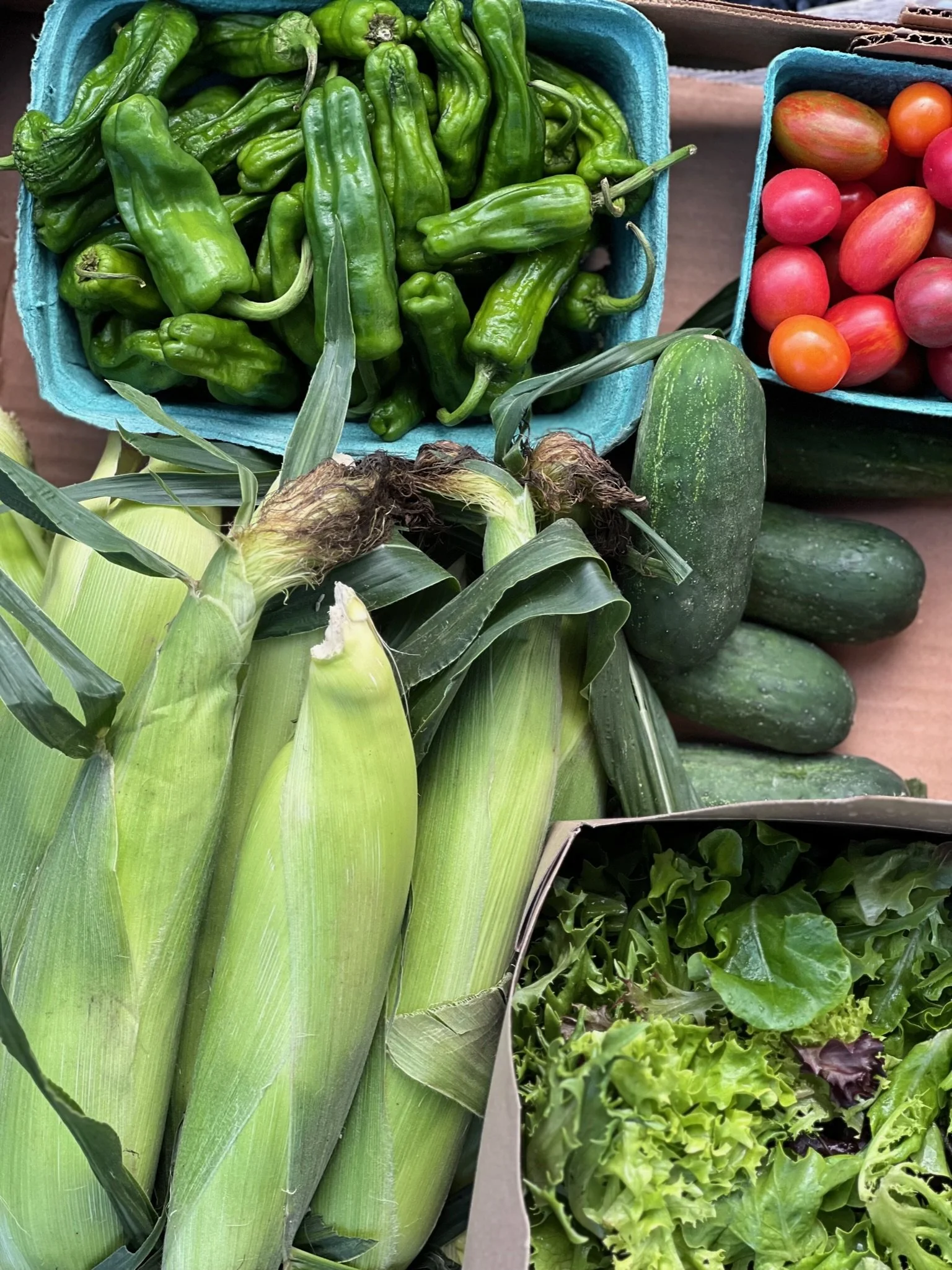 F1B3DC20-9667-4D06-BCF9-A8BC4015C015.JPG