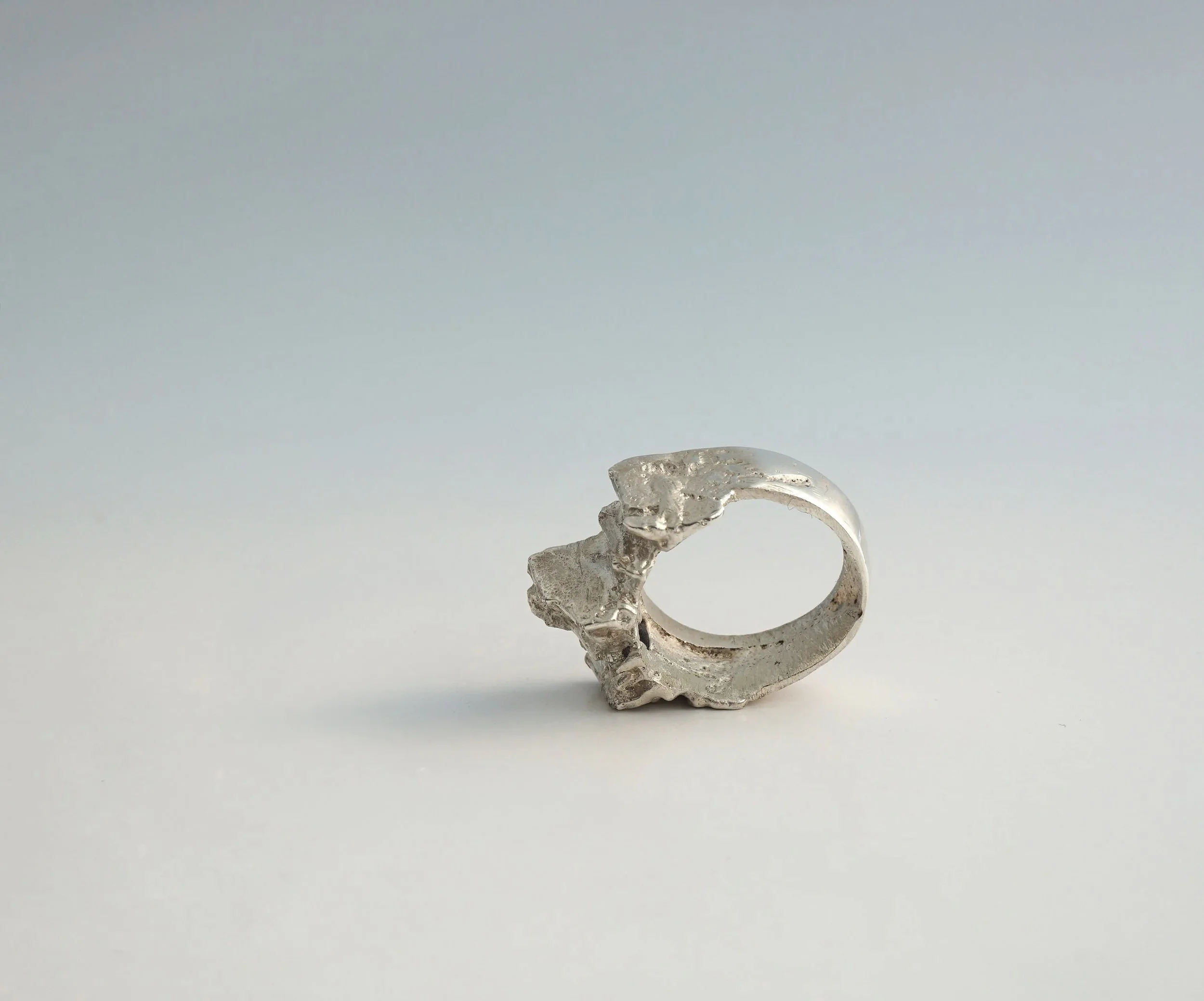 castle+ring+side.jpg