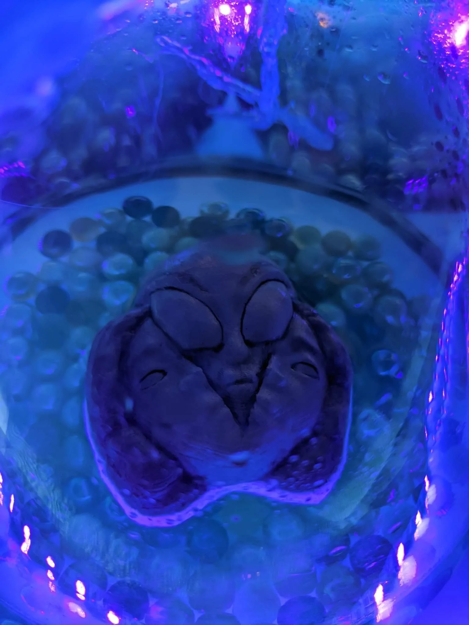 'Unidentified Figured Out (UFO): part 2'. Found Objects, Mixed Media, Video, and 3D Sculpture Printing.
Featured in UoN Chromatic Festival 2022