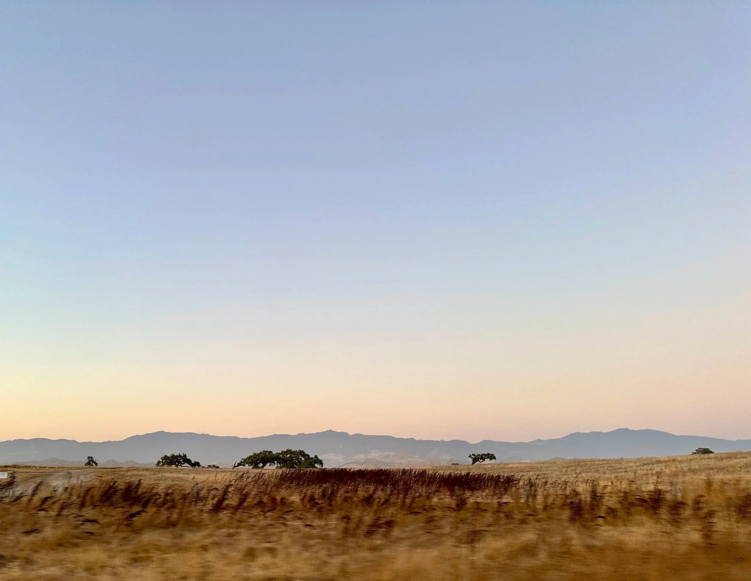 Los Olivos, California