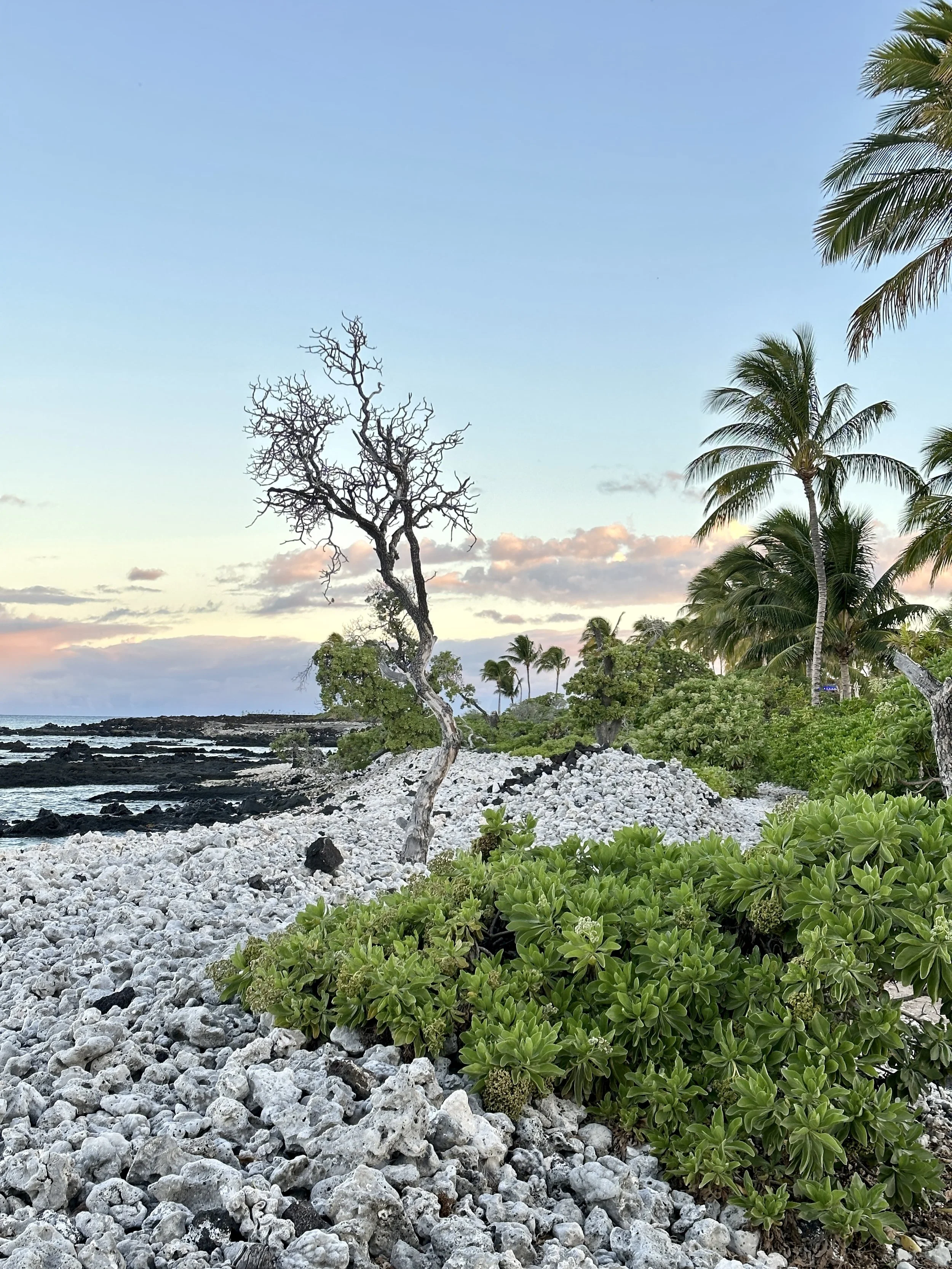 Waikoloa, Hawaii