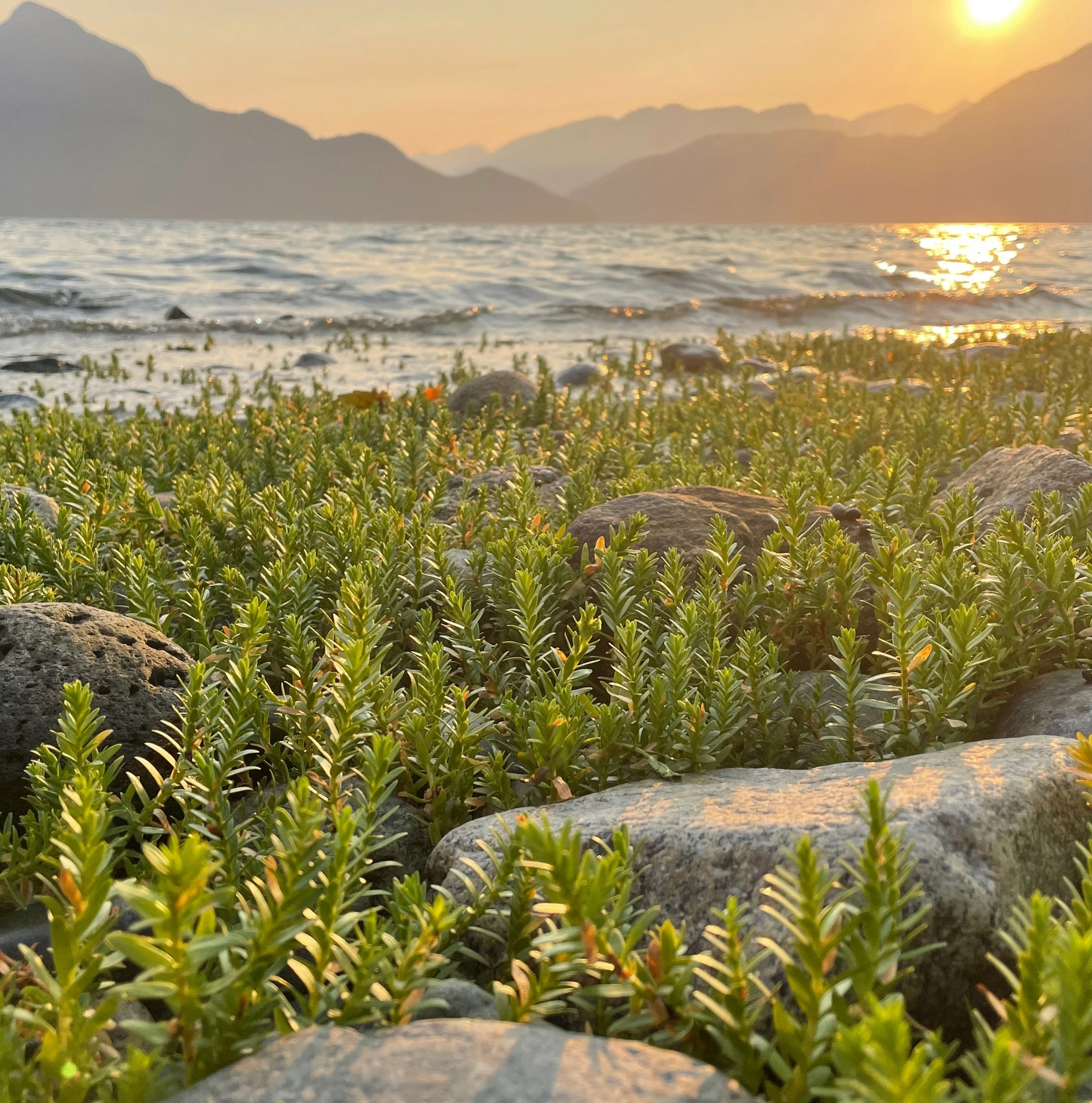 Porteau Cove, B.C. Canada