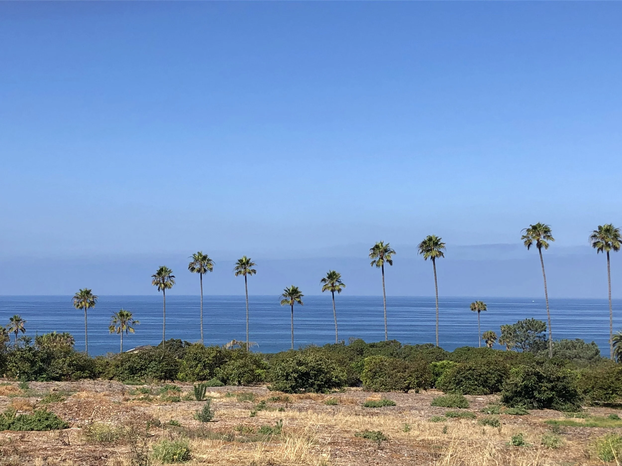Cardiff, California