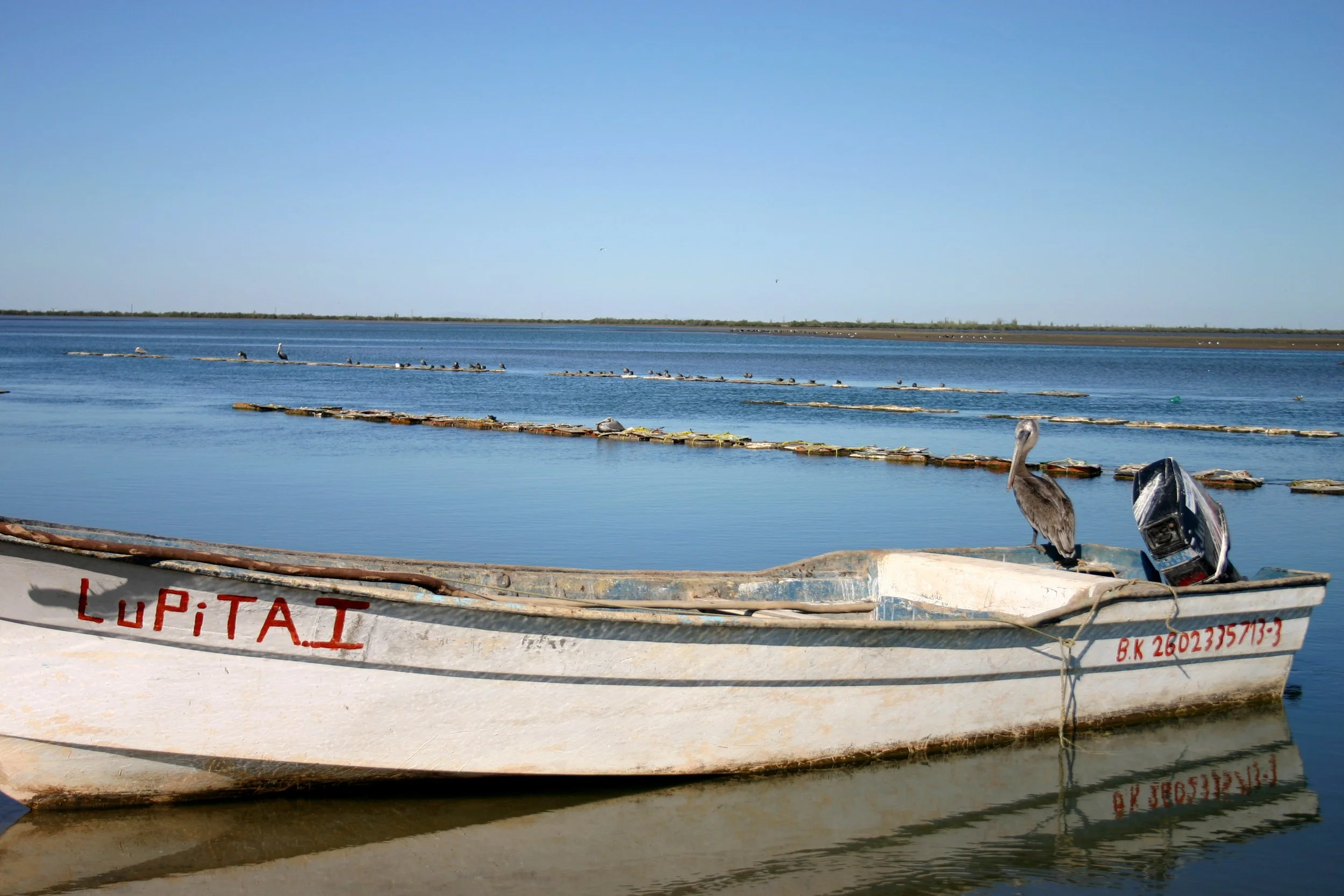 Bahia Keno, Mexico