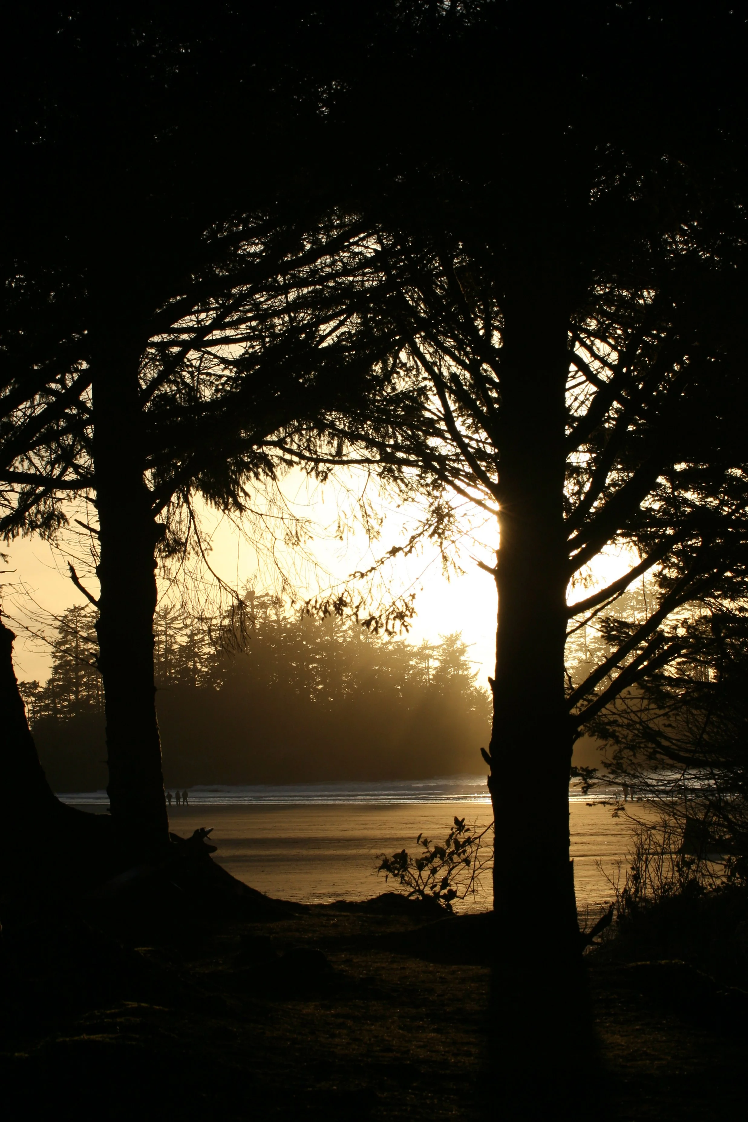 Tofino, B.C.