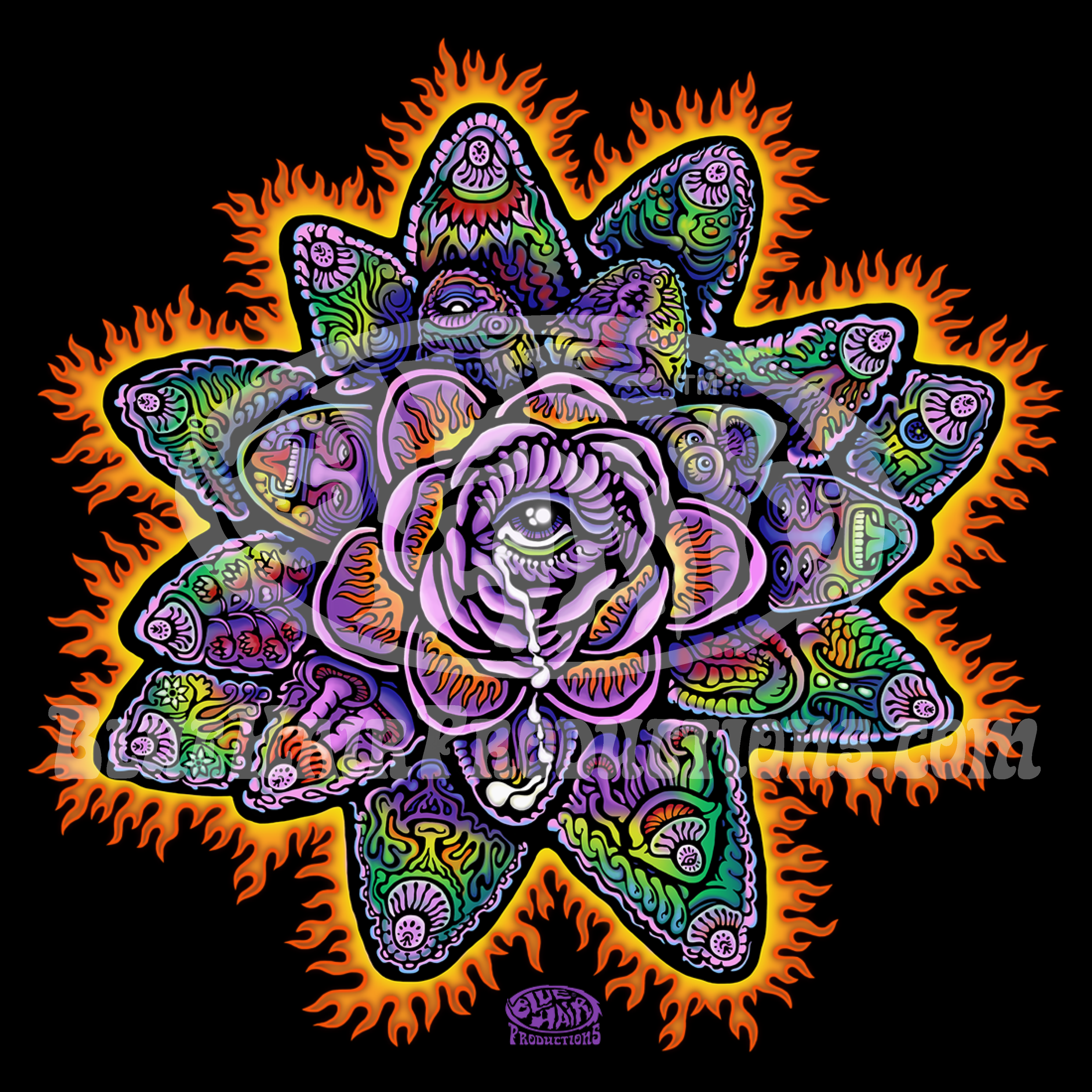 Cosmic Eye Lotus_Web_Cover.png