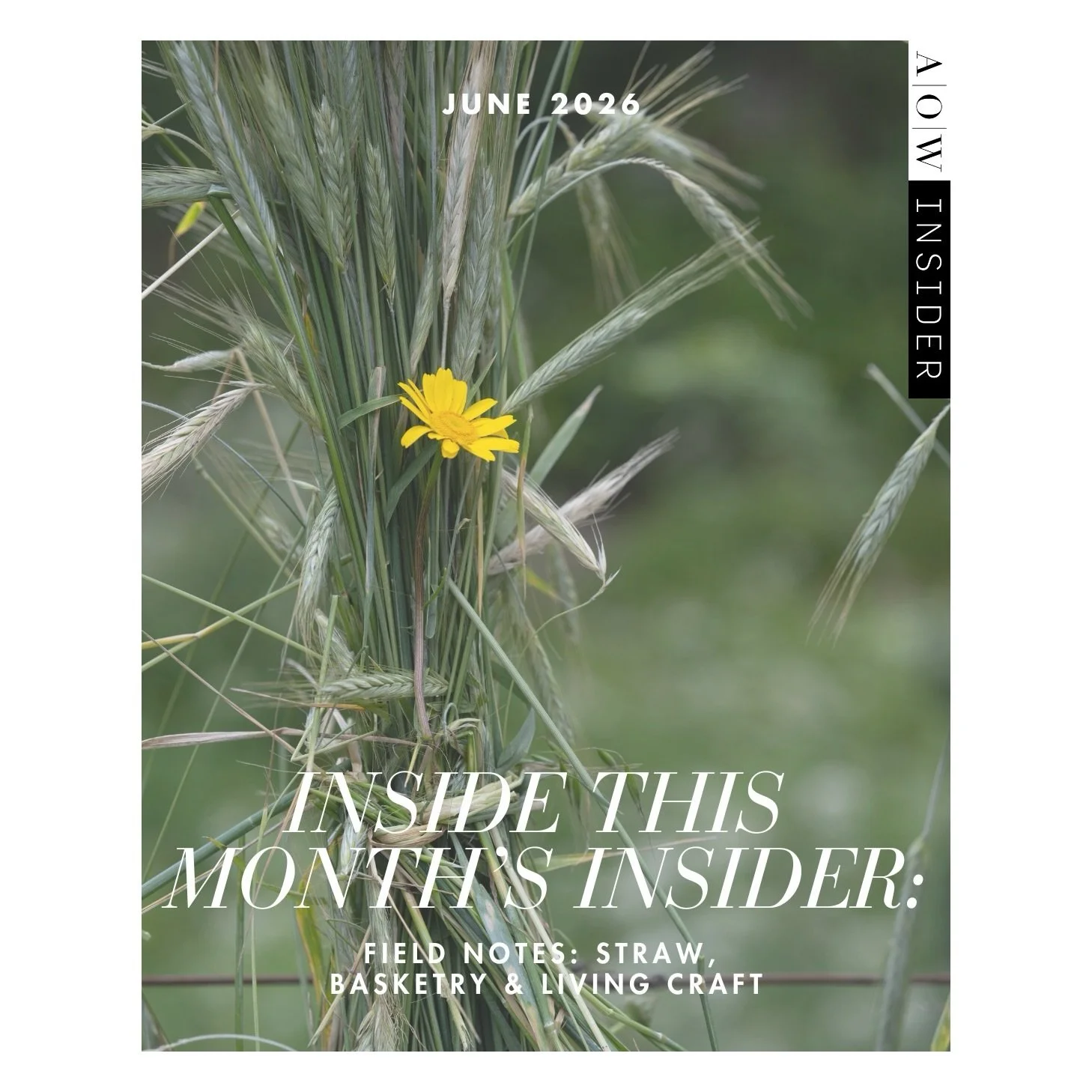 Hello! NEW JUNE INSIDER posts are now live! This month, I&rsquo;m sharing an array of travel stories and artisan discoveries centered on basketry and living craft traditions. 

We begin with Sayali Goyal&rsquo;s of @cocoaandjasmine&rsquo;s recent cra