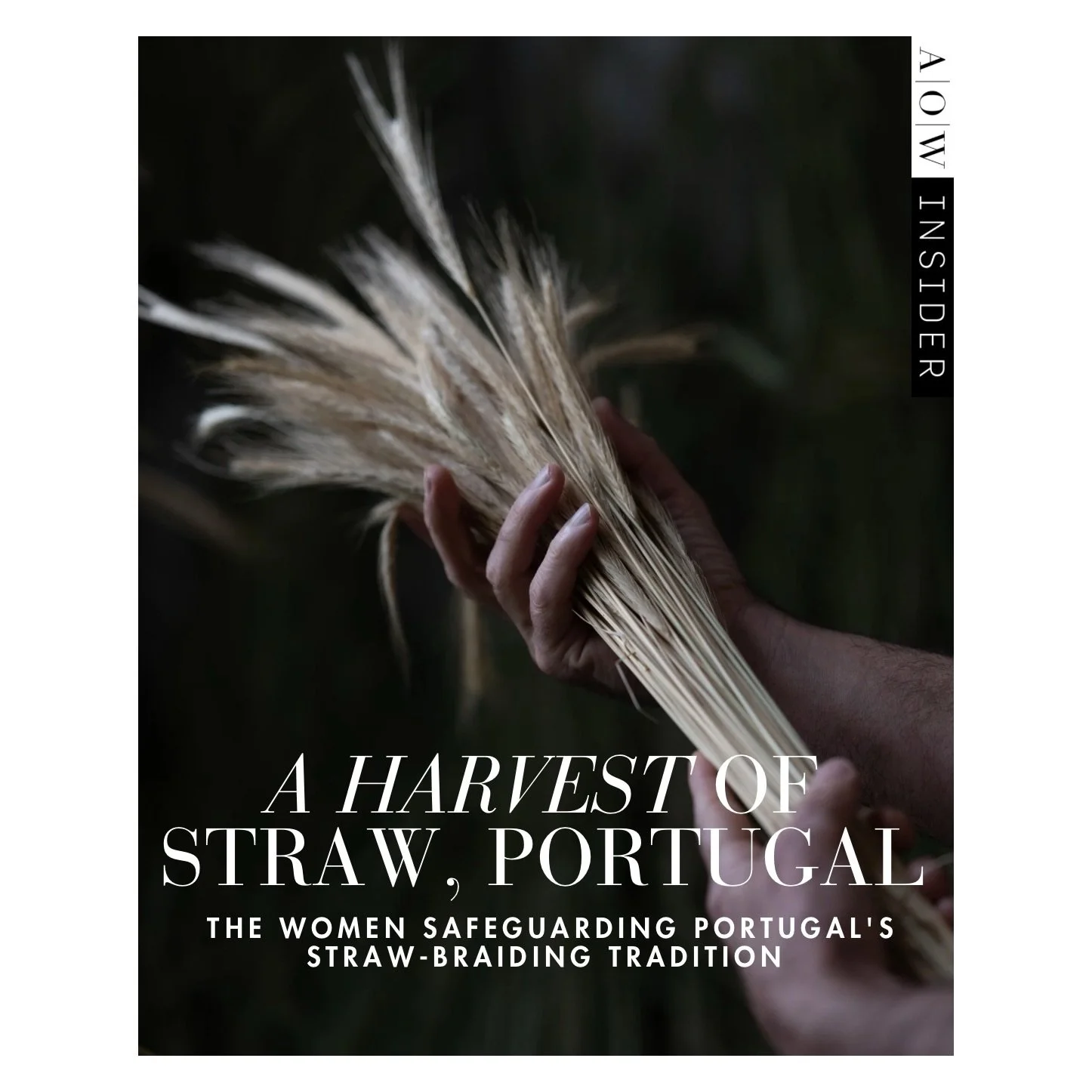 A peek inside one of my articles this month, where I take readers behind the scenes at an annual straw harvest in Portugal, where the women at a small enterprise called @as_tres_micas_ work hard to ensure the traditional craft of straw braiding in No