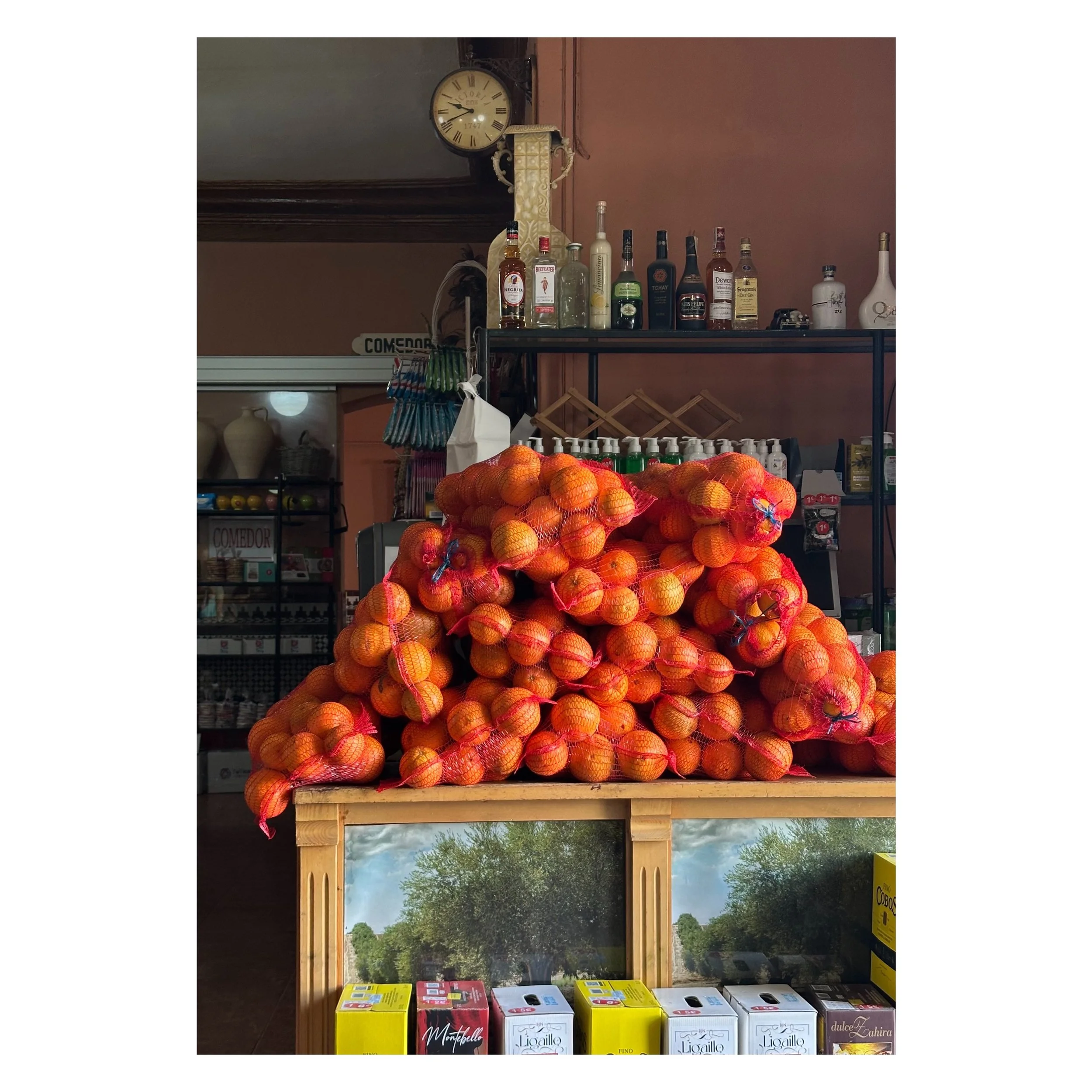 Roadside cafe 🍊, Andalusia 🇪🇸 #aowhandmadetravels
