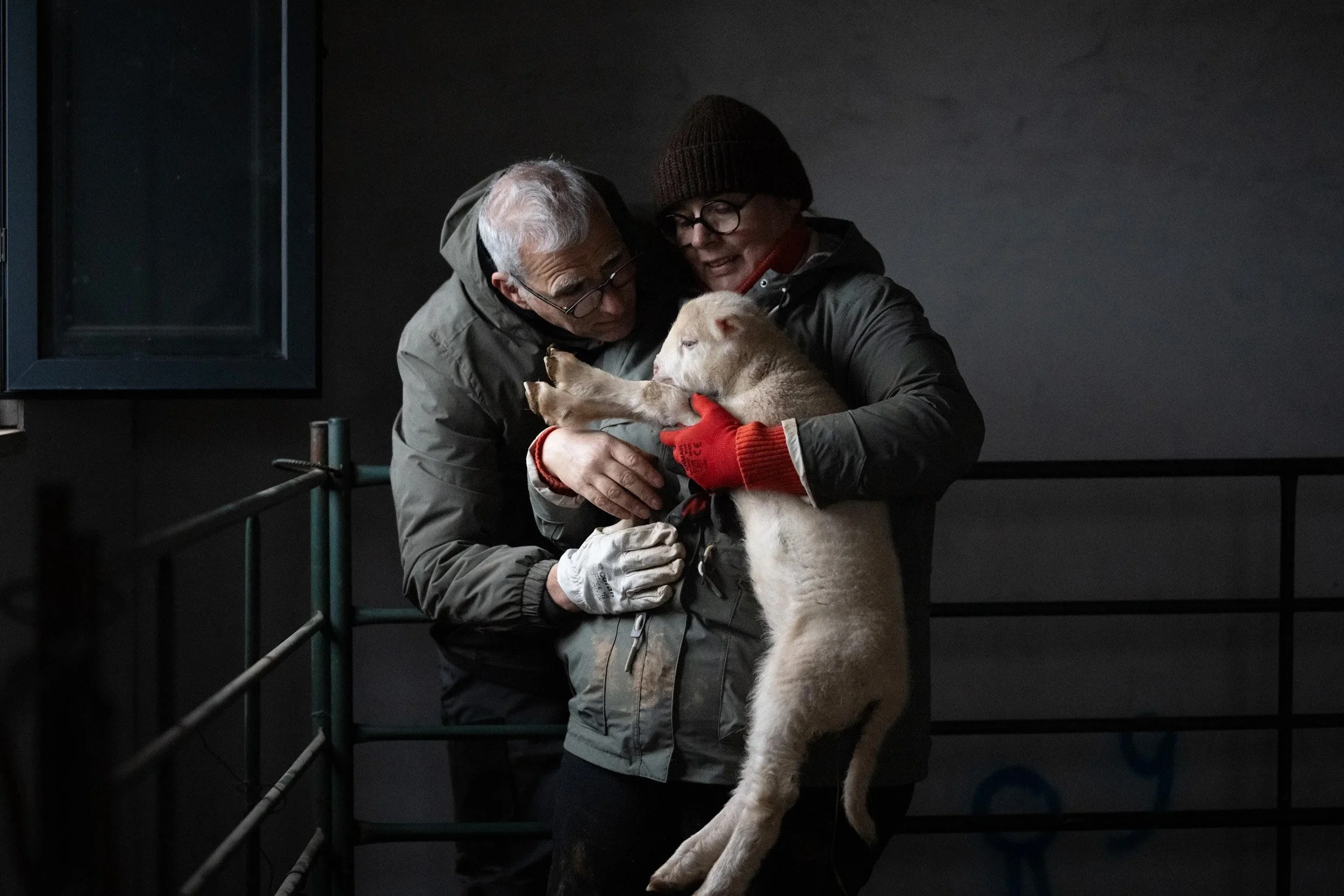 couple-holding-a-lamb