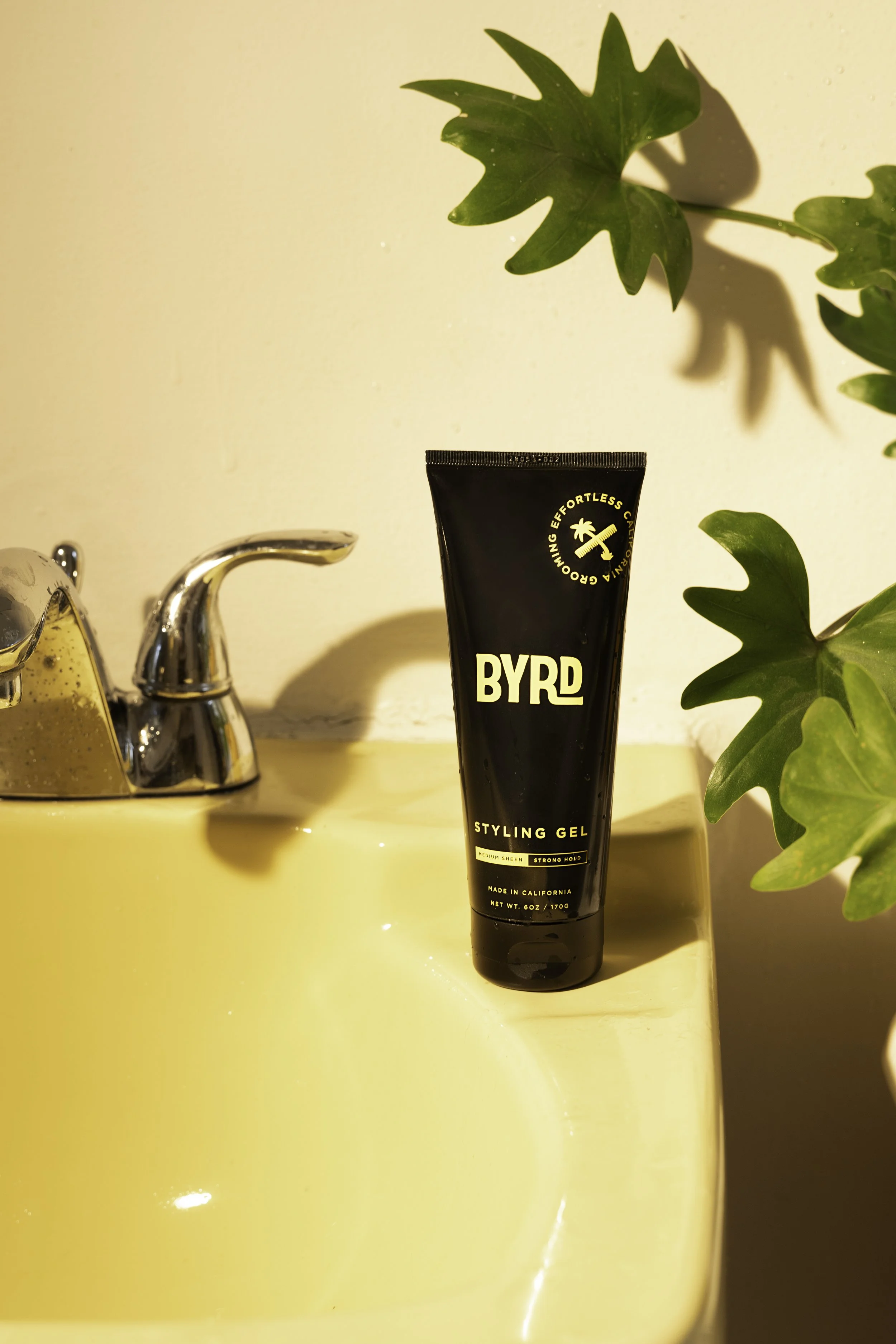 Byrd Hair, CA | 2025