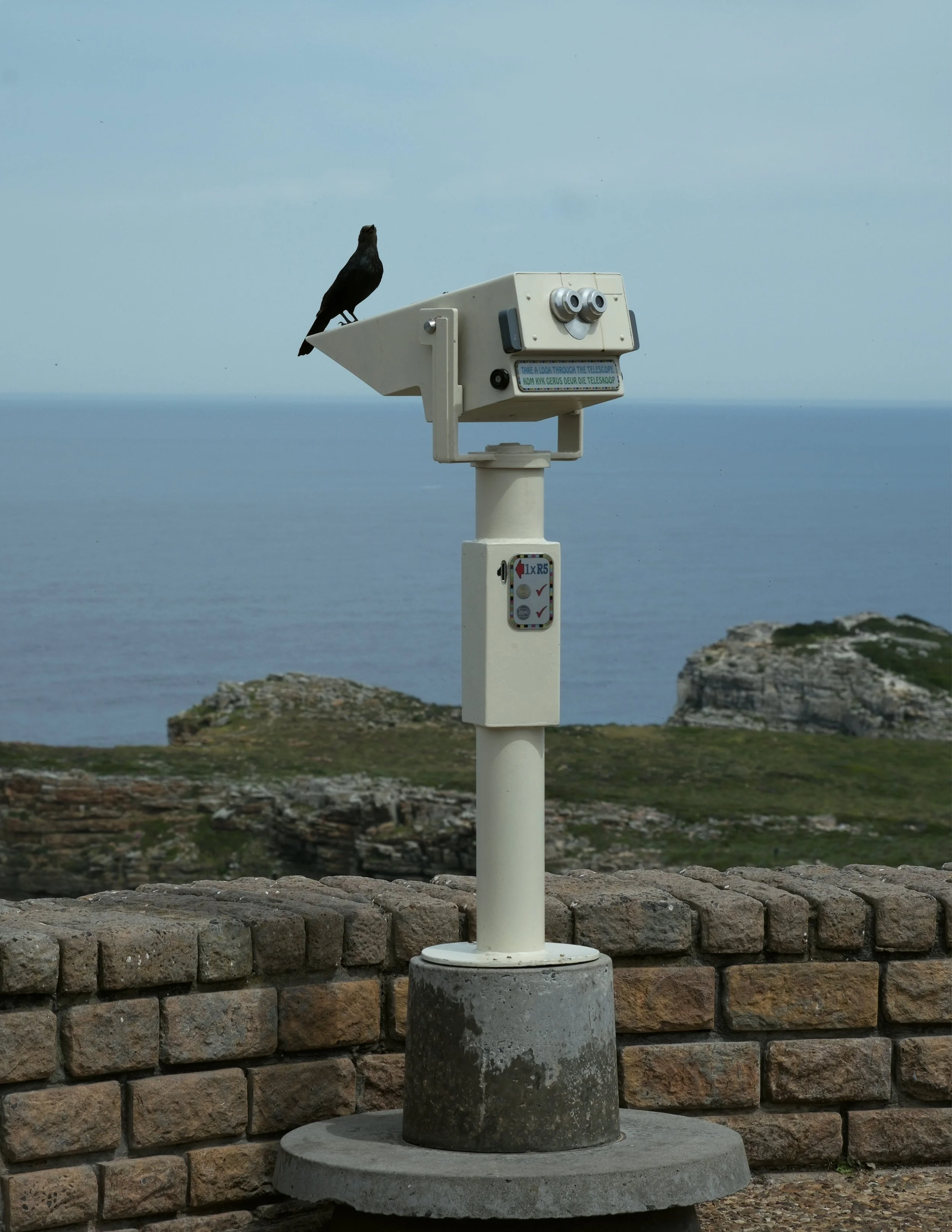 A white coin-operated telescope mounted on a concrete pedestal with a black and white bird perched on top, overlooking the ocean and rocky cliffs in the background.