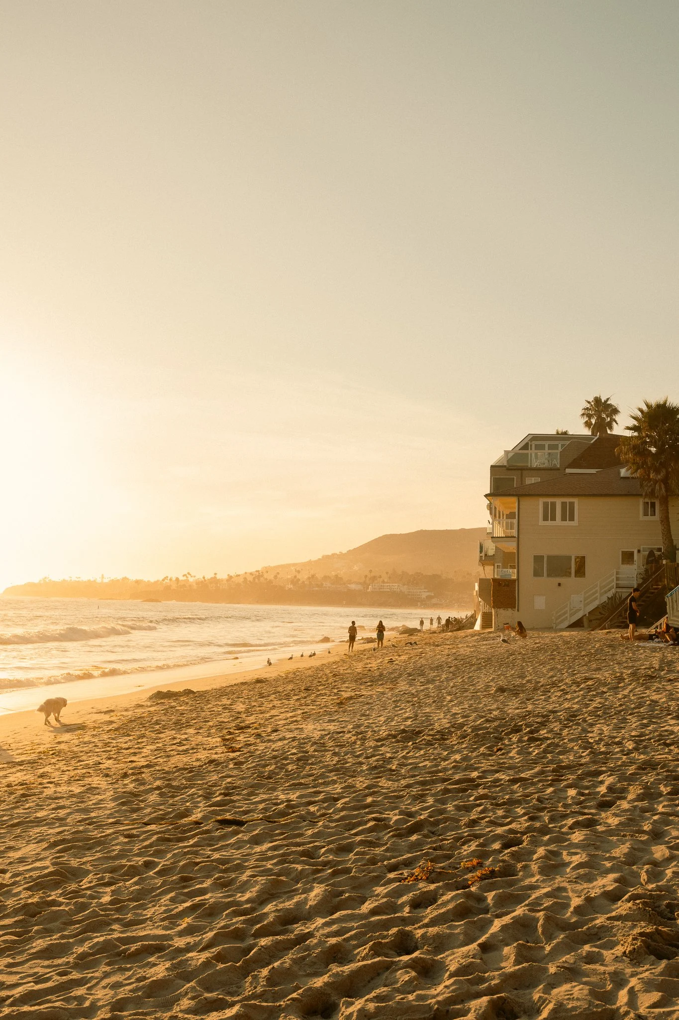 A sandy beach at sunset with a large building on the right, palm trees, and people walking near the water.