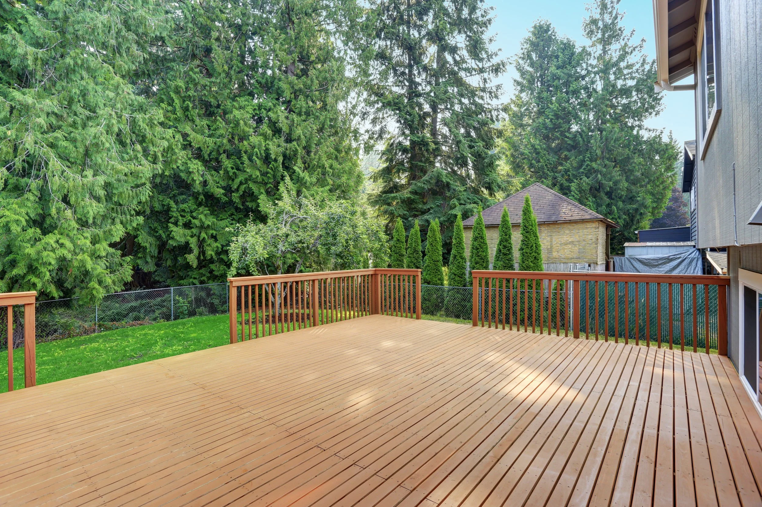 Deck & Fence