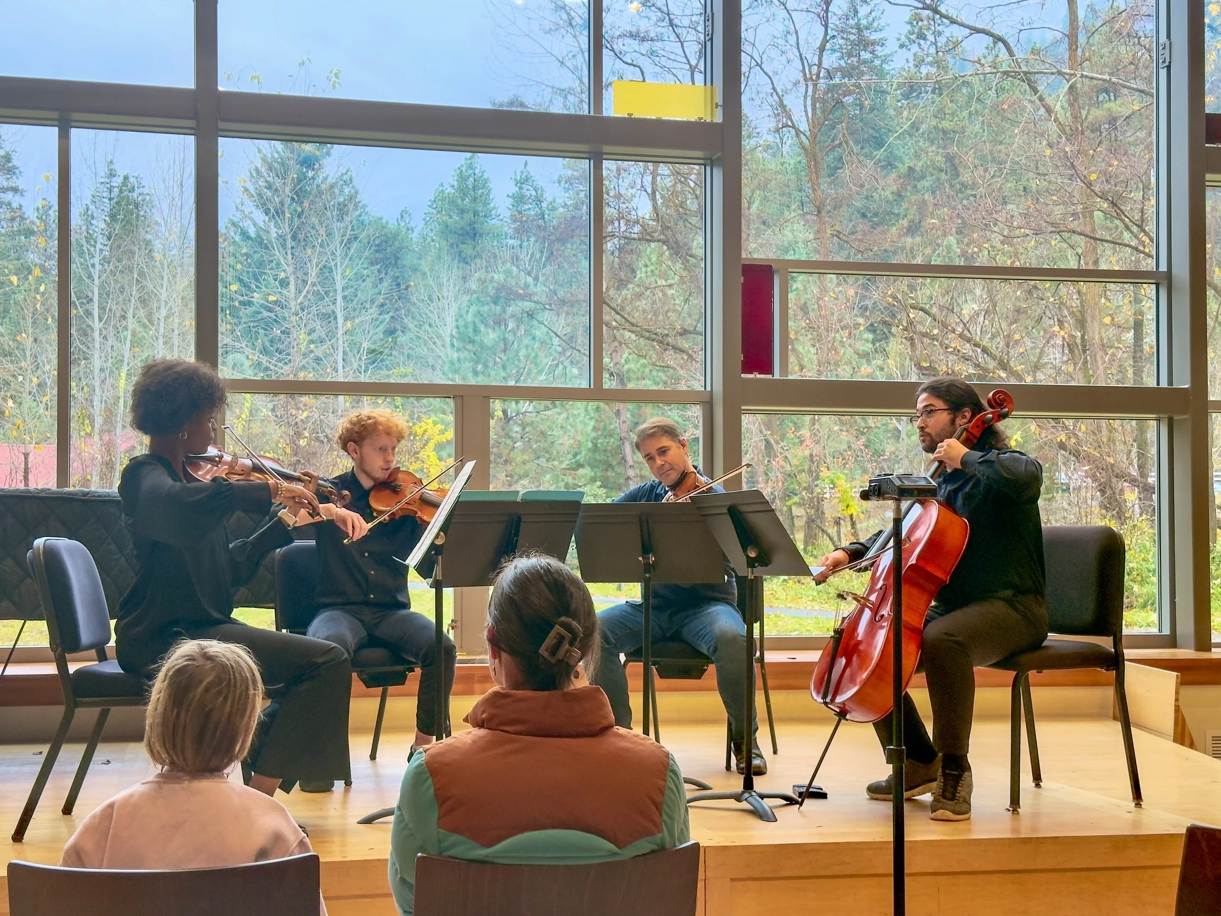 Young Artists Concert