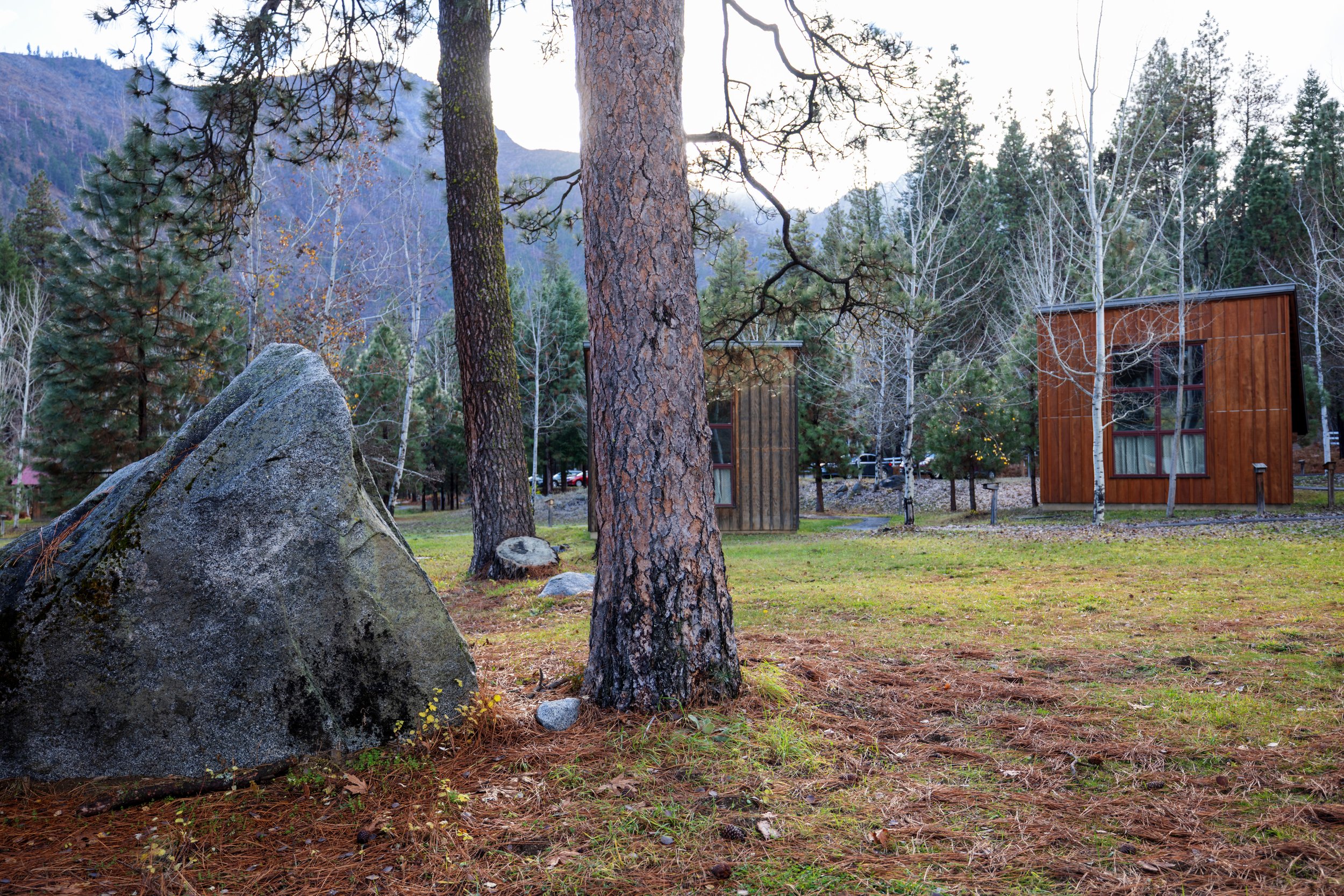 Young Artist Tuition