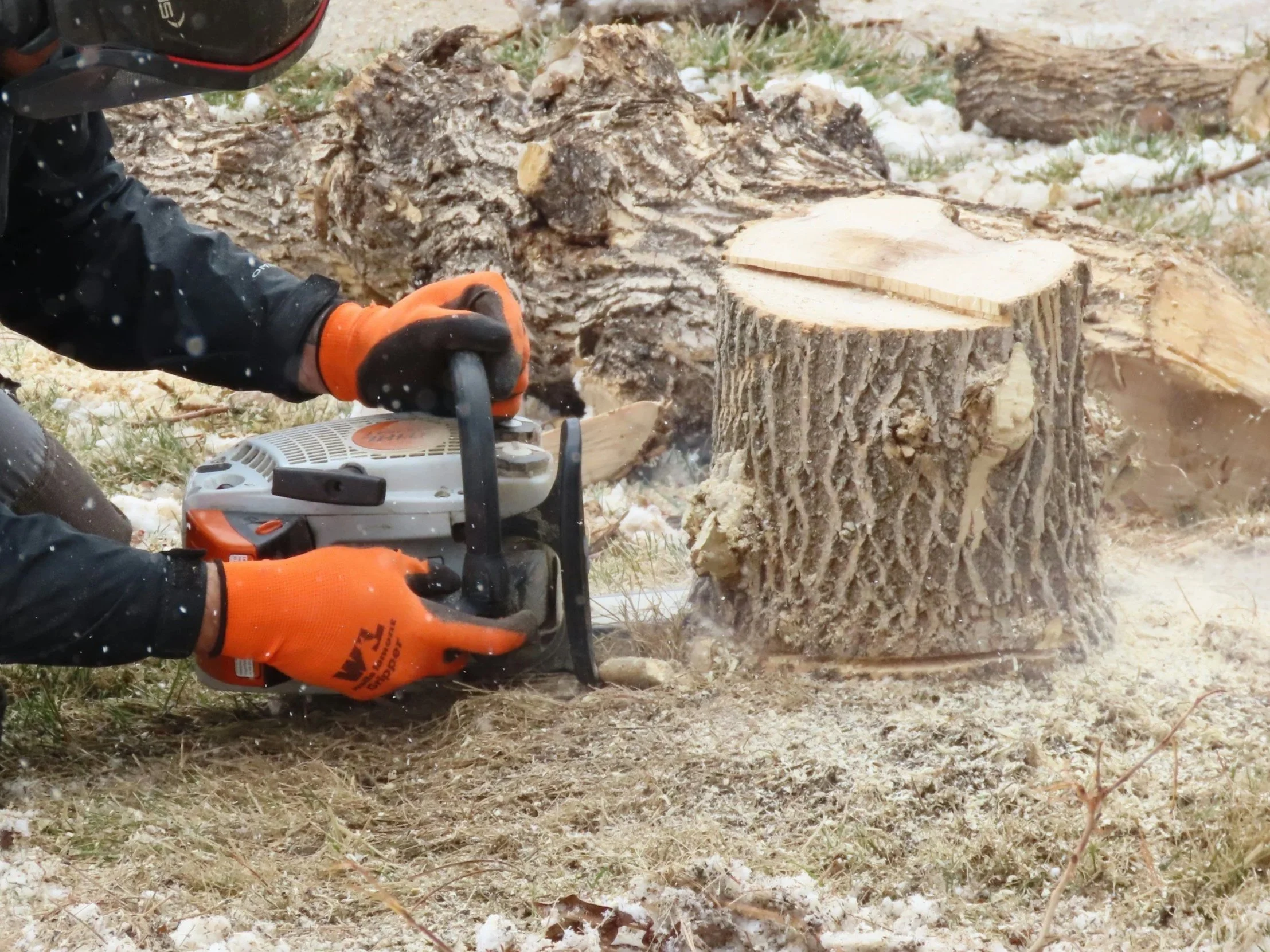 Person cutting a tree trunk with a chainsaw in an outdoor wooded area during winter.