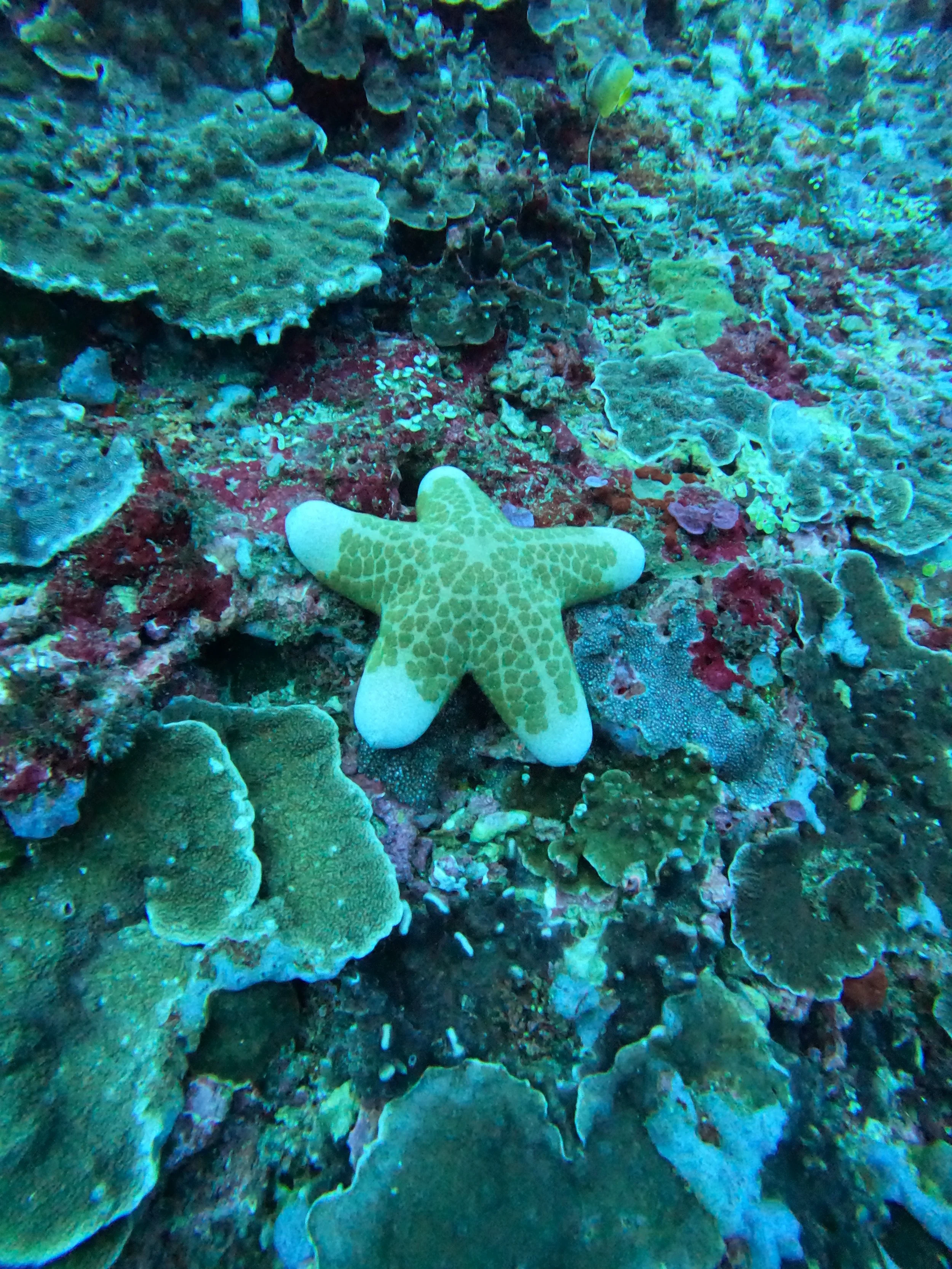 GPTempDownload (1).JPG