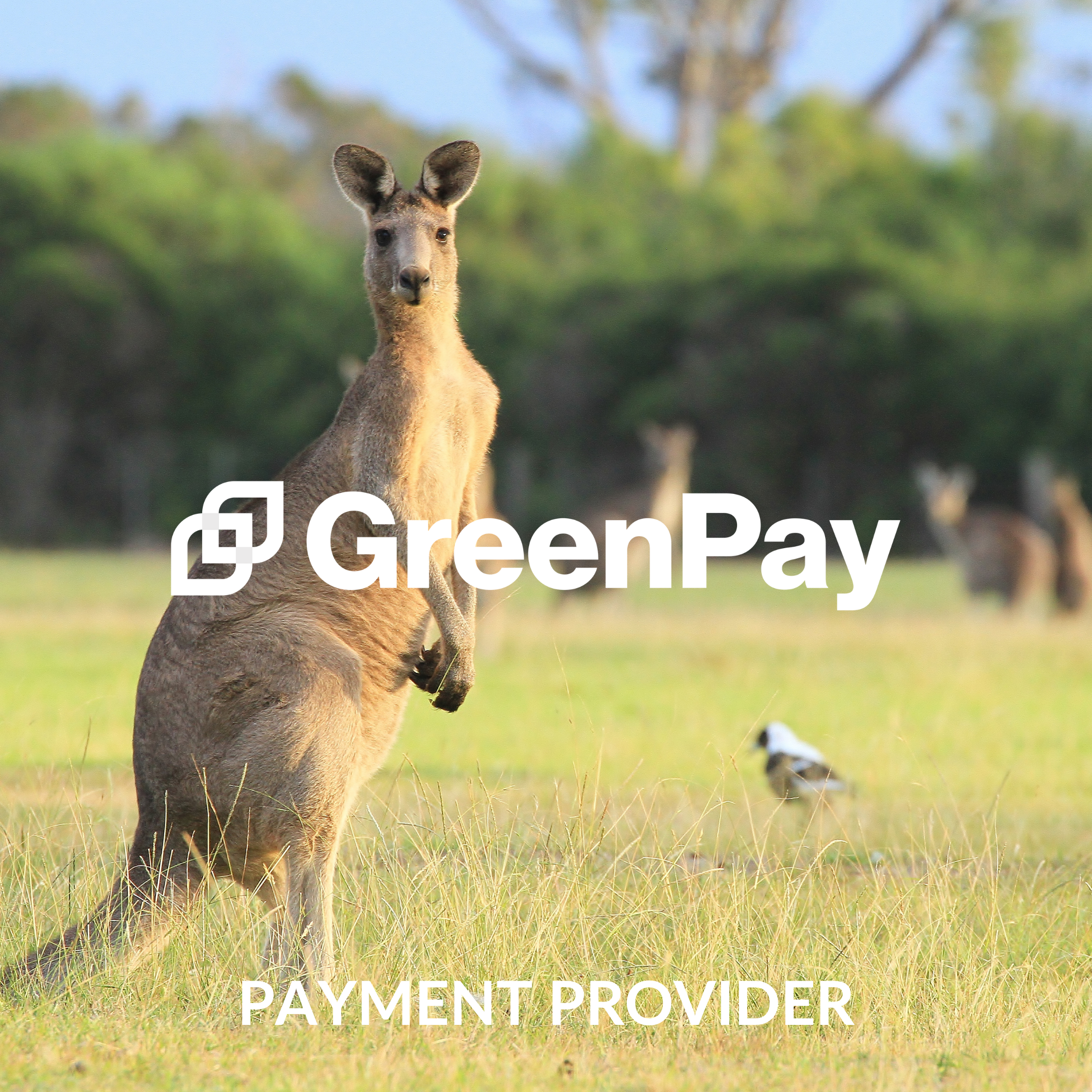 GreenPay at The Global Impact Summit