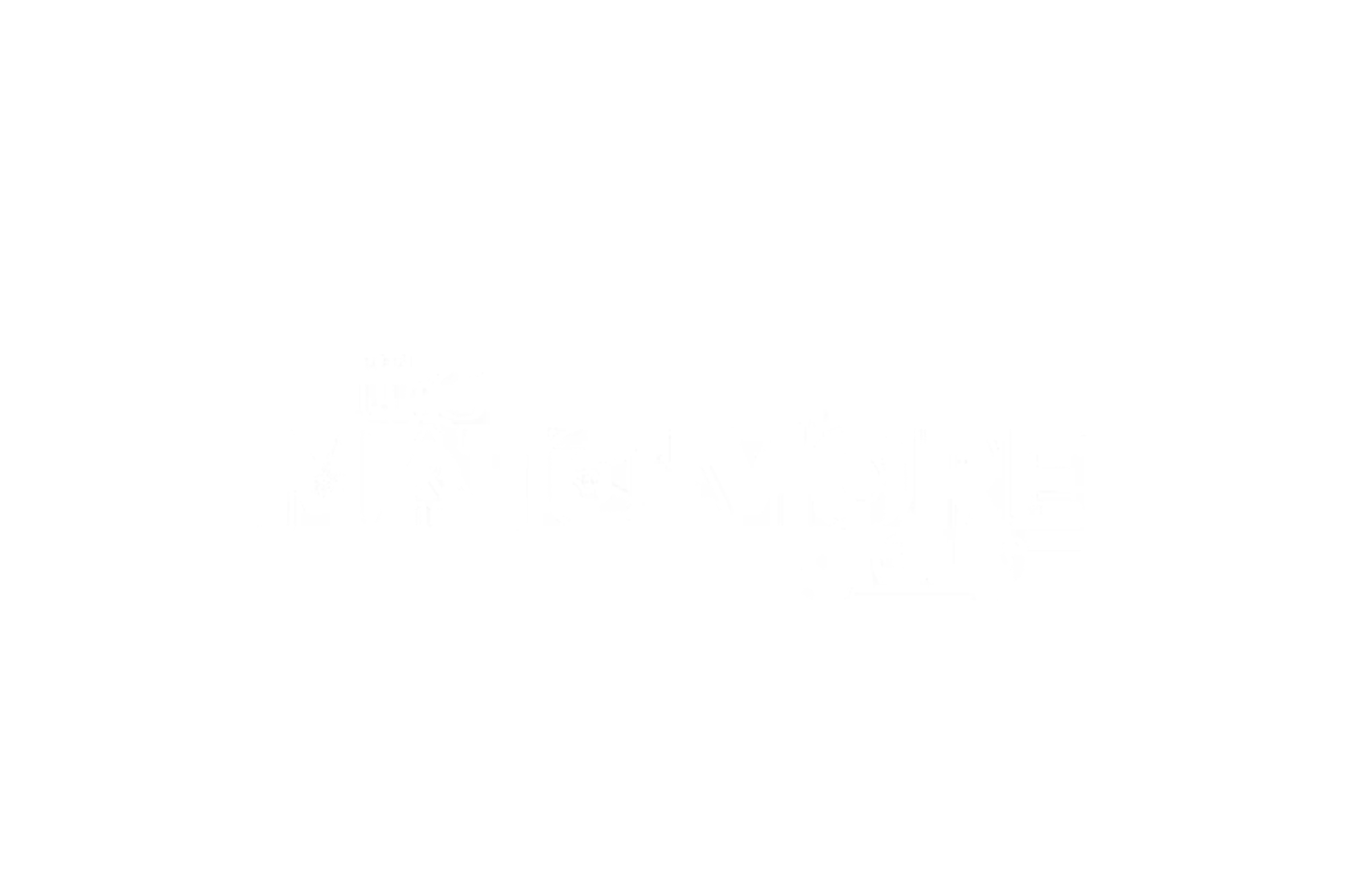 Corporate Match