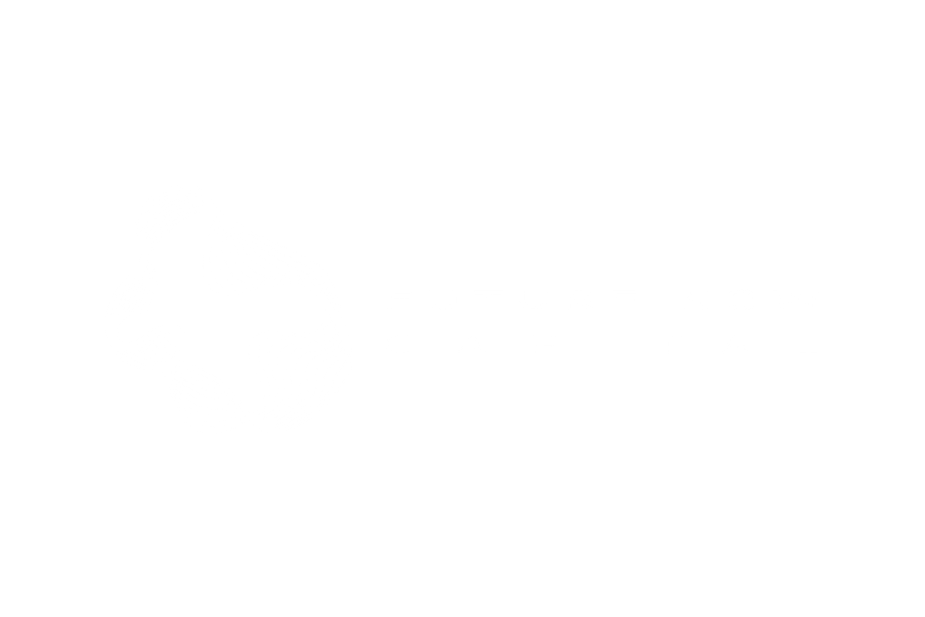 Future Now Capital