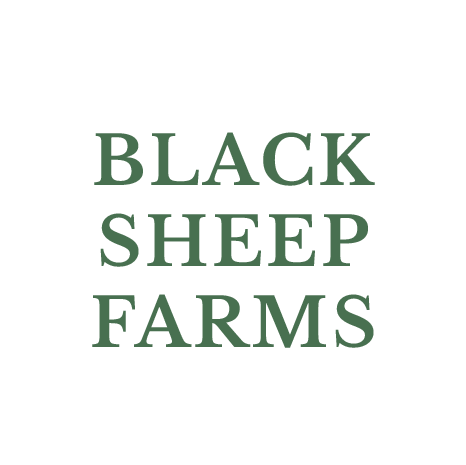 BLACK SHEEP FARMS