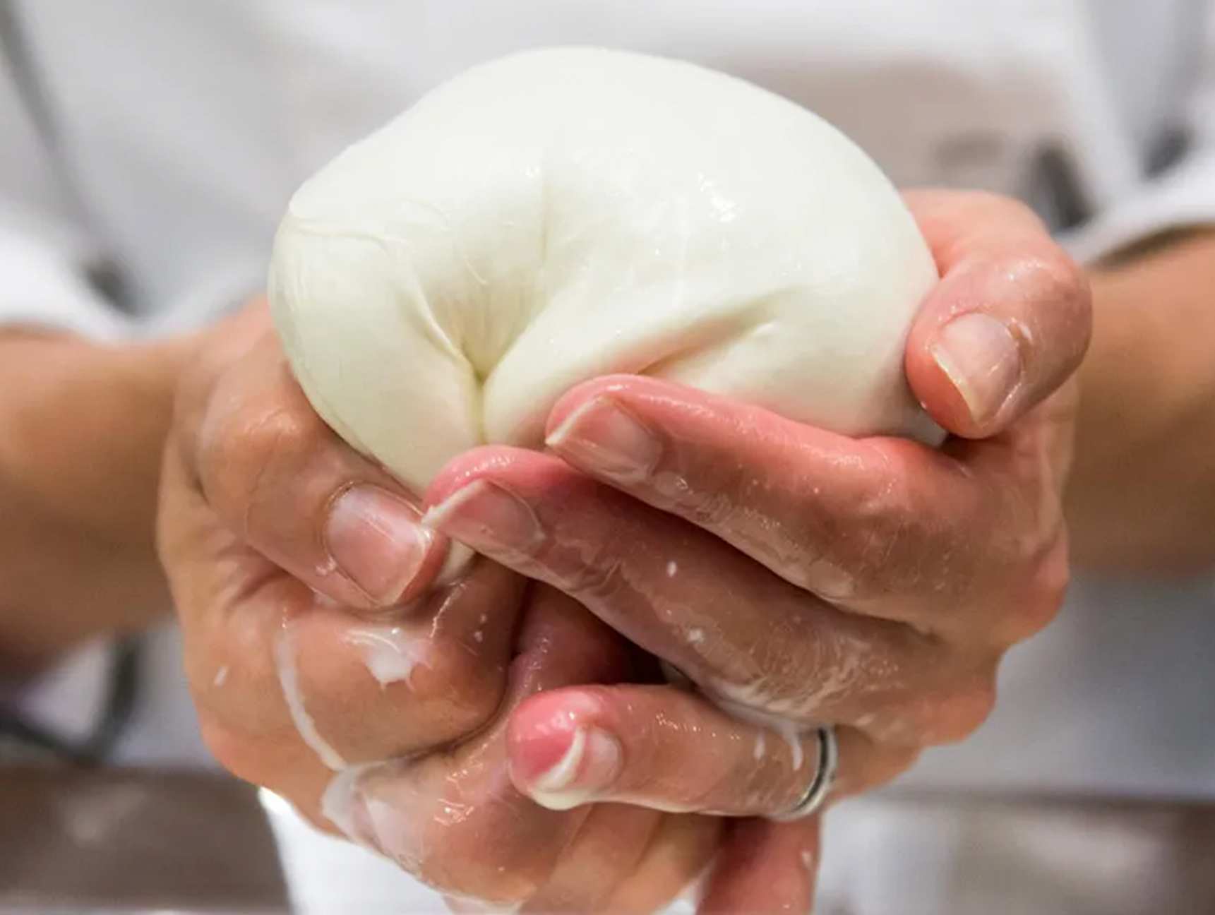 Mozzarella Stretching and Aged Cheese Tour