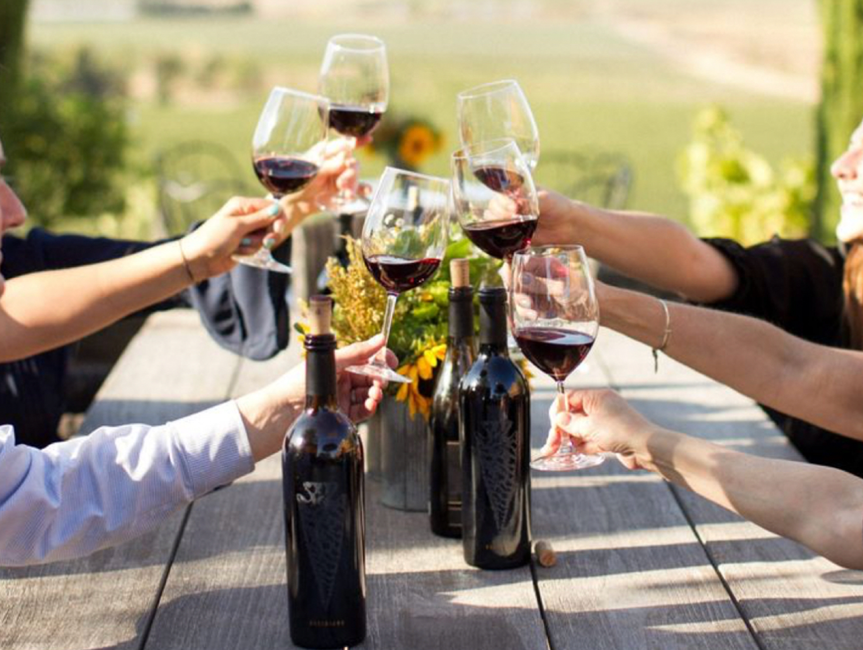 Walk the Vines - Grape Chew and Wine Tasting