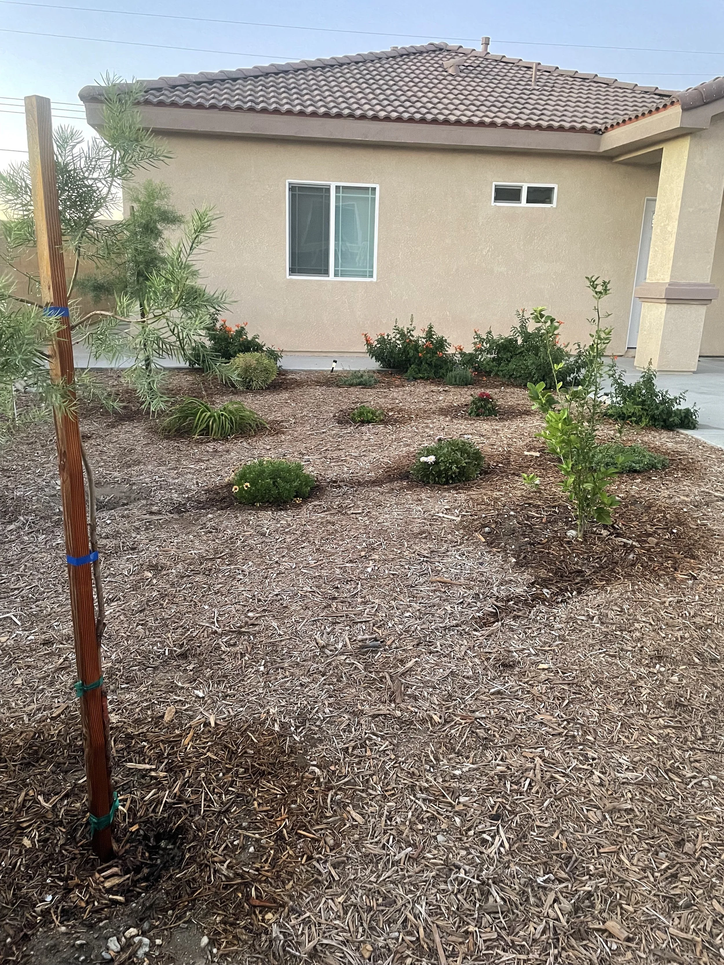 Home Garden Overhaul 🪴 (In-Person)