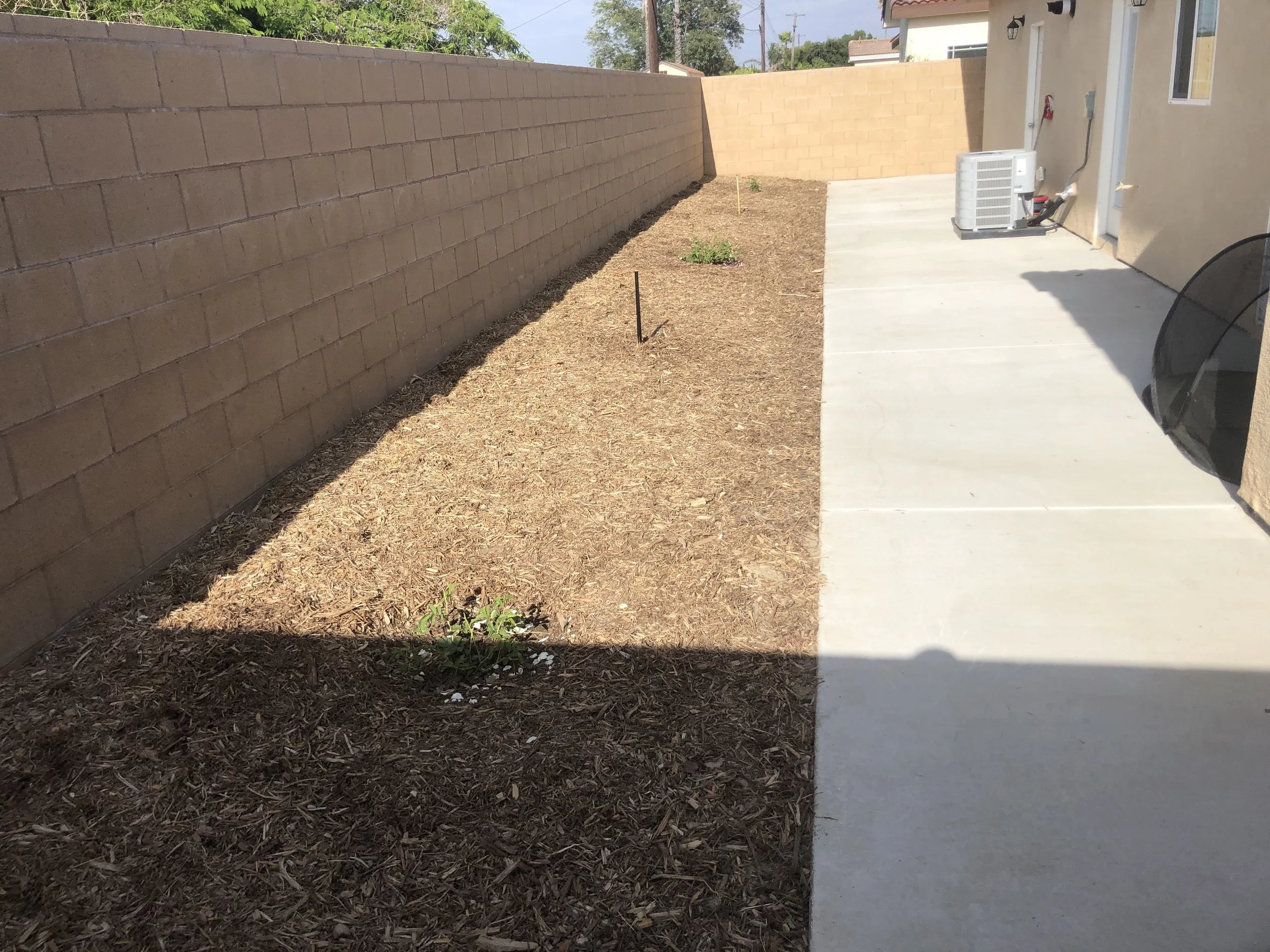 A backyard with a concrete patio, a tan wall on the left, and a beige house on the right. The yard has dirt with sparse small plants and a small stake, with some shade and some sunlight.