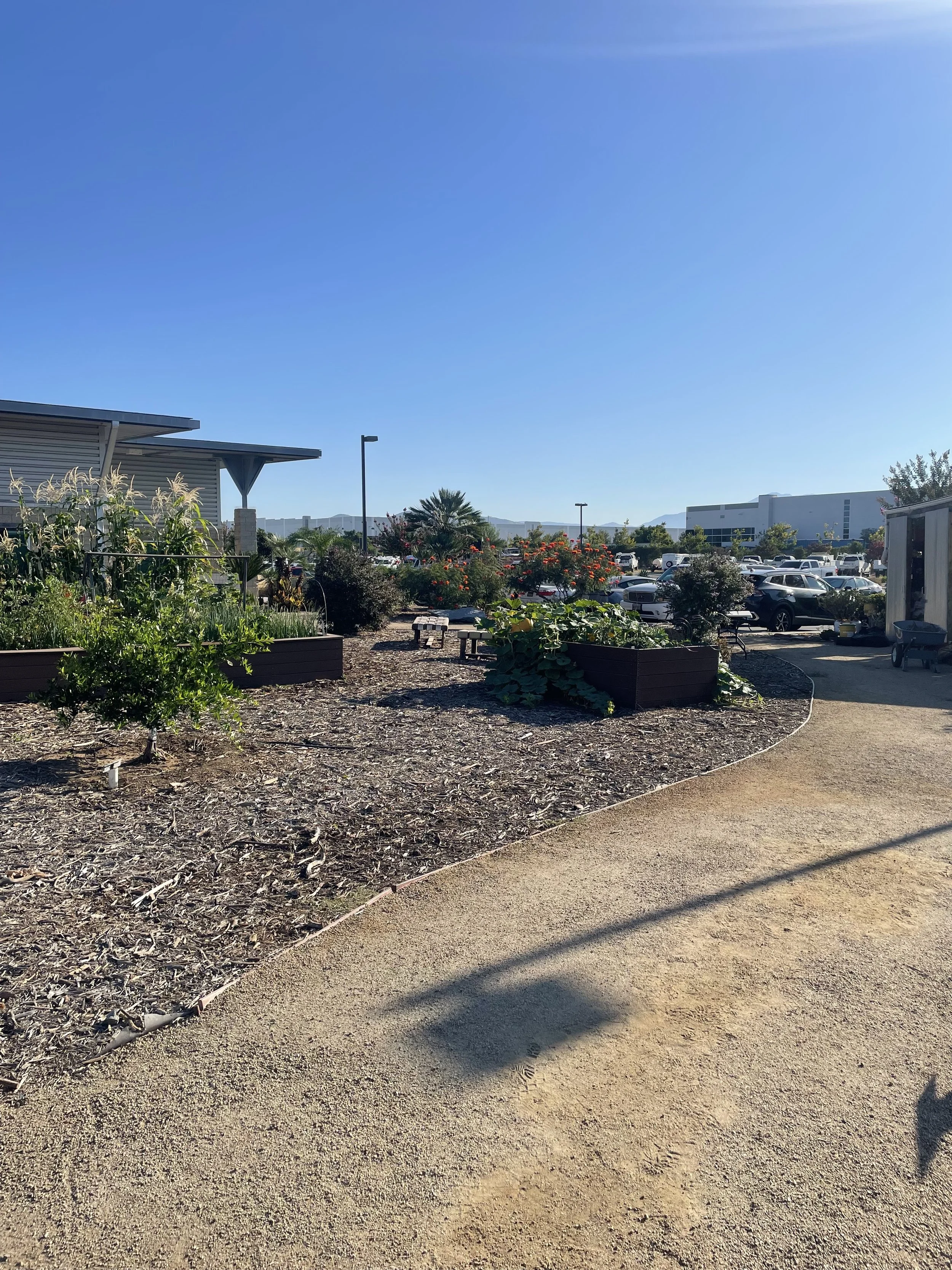 Plant SOS Session 🌱💻 (Virtual, 30 min.)