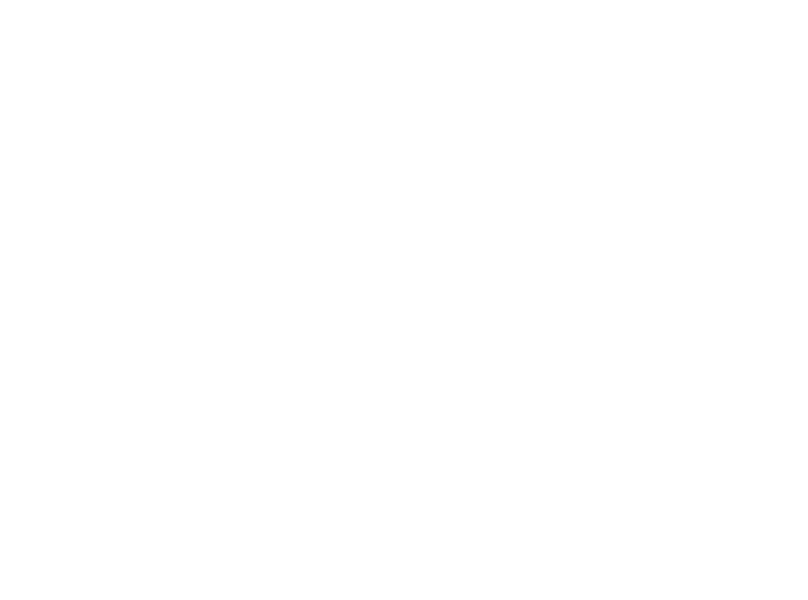 SpotLight Productions