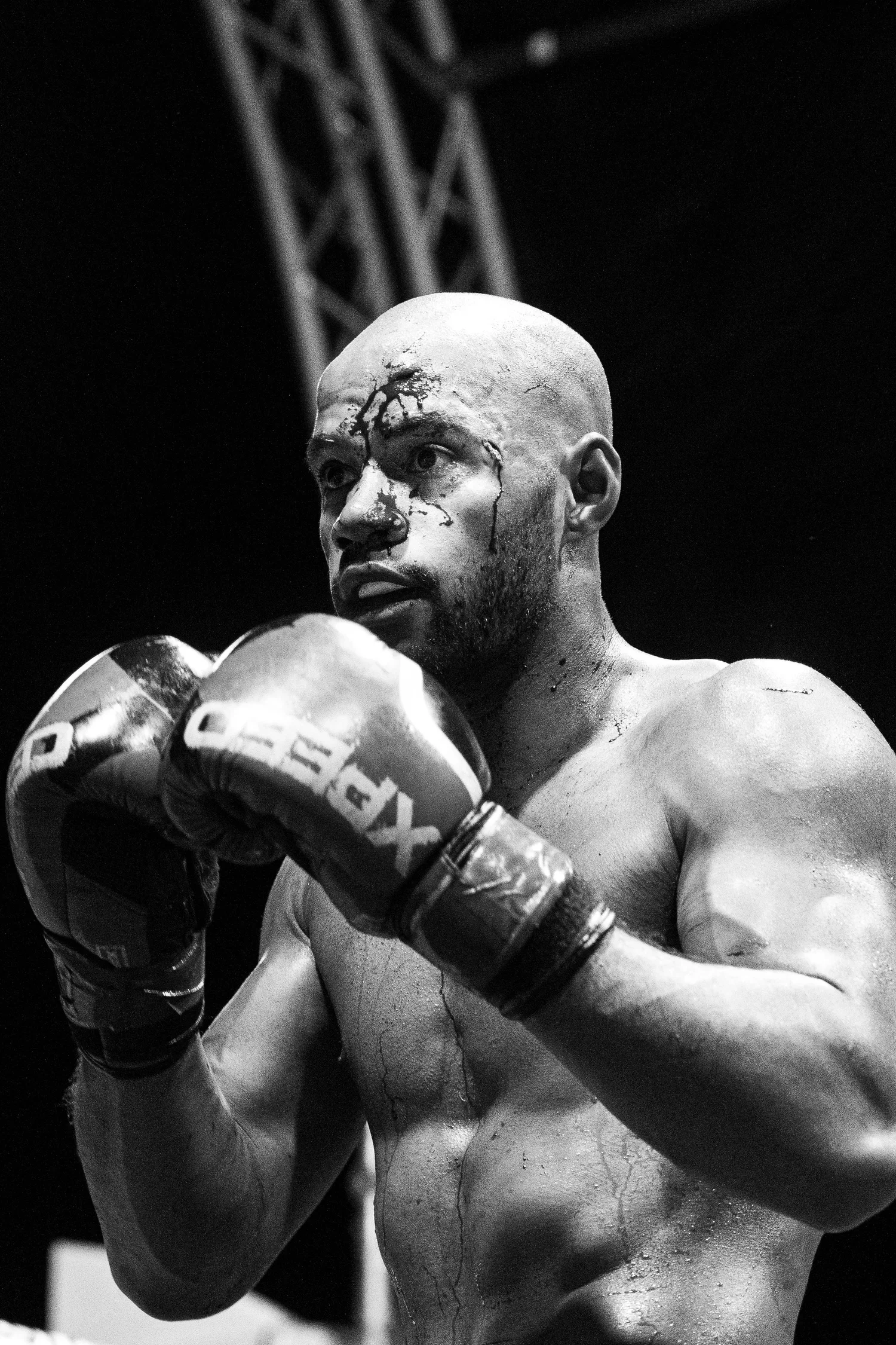a combat sports athlete in boxing gloves with a big cut on his forehead