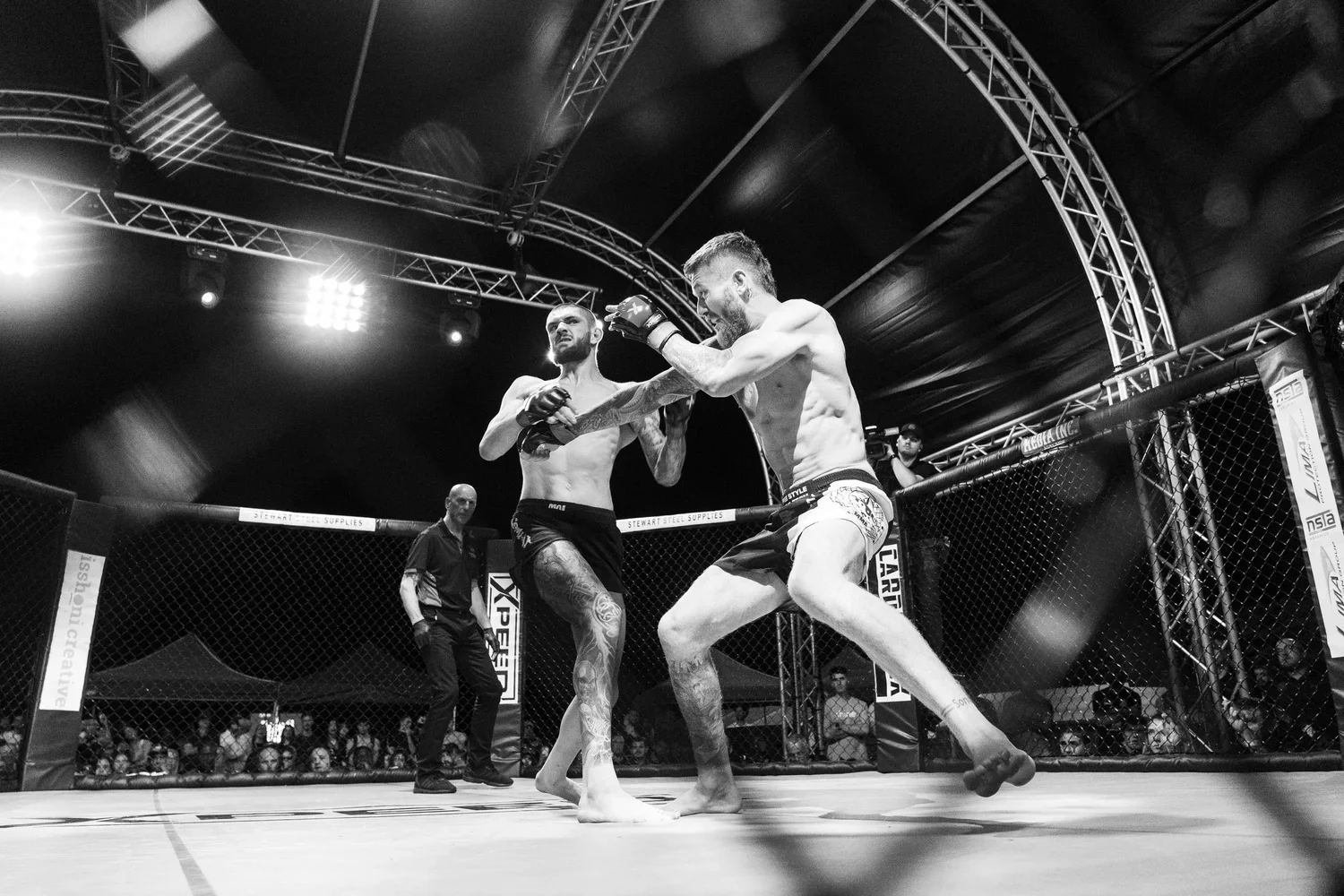 Two MMA fighters, fighting in a cage at an MMA event