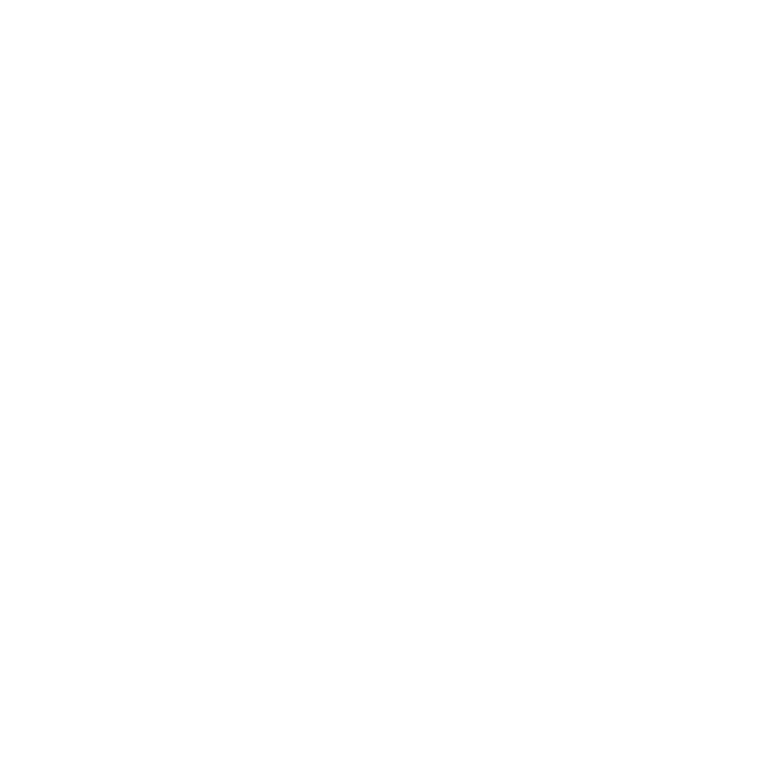 MAX Healthcare Logo